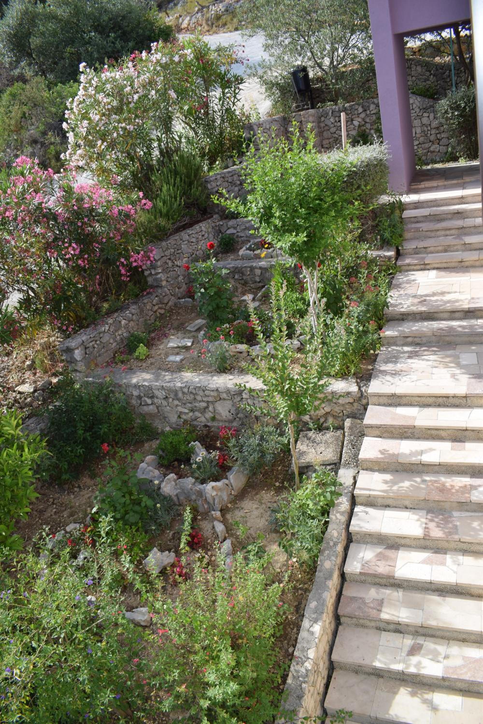 Photo 31
