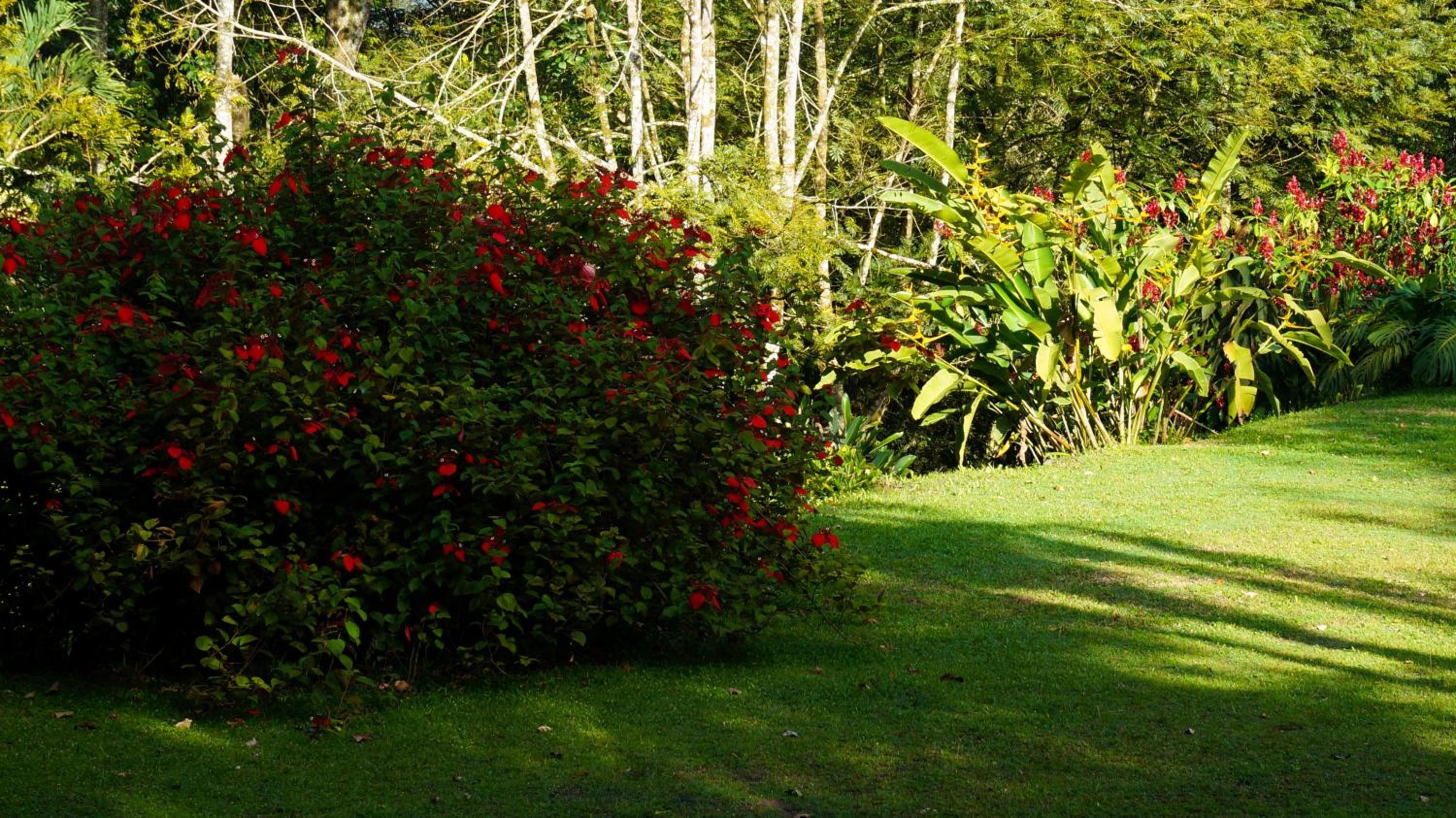 Hospedaje La Naciente