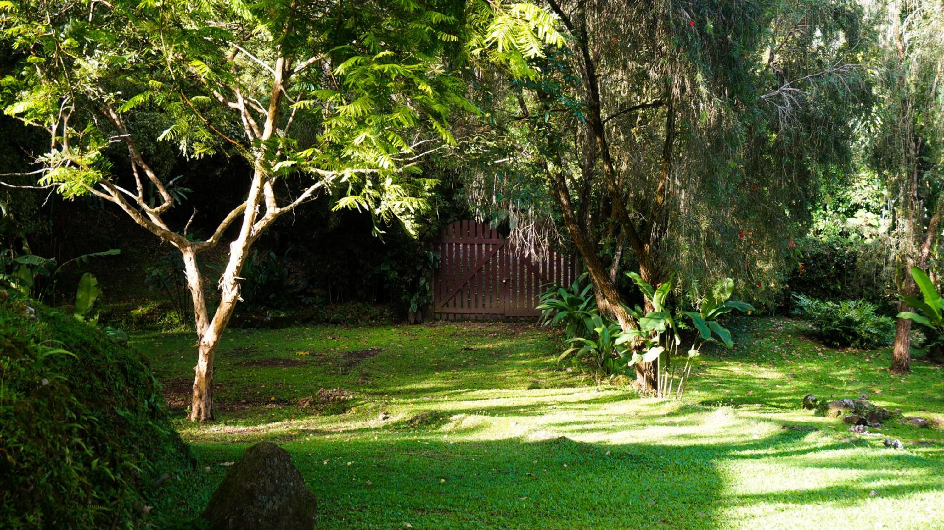 Hospedaje La Naciente