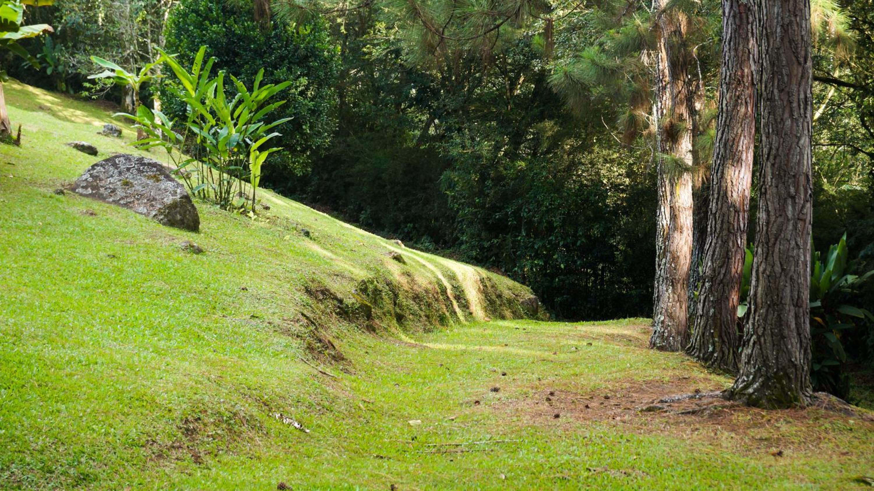 Hospedaje La Naciente