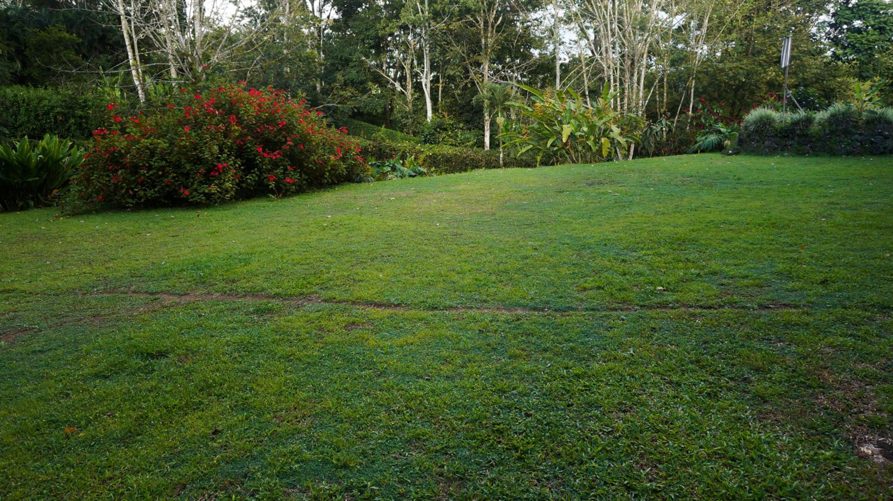 Hospedaje La Naciente