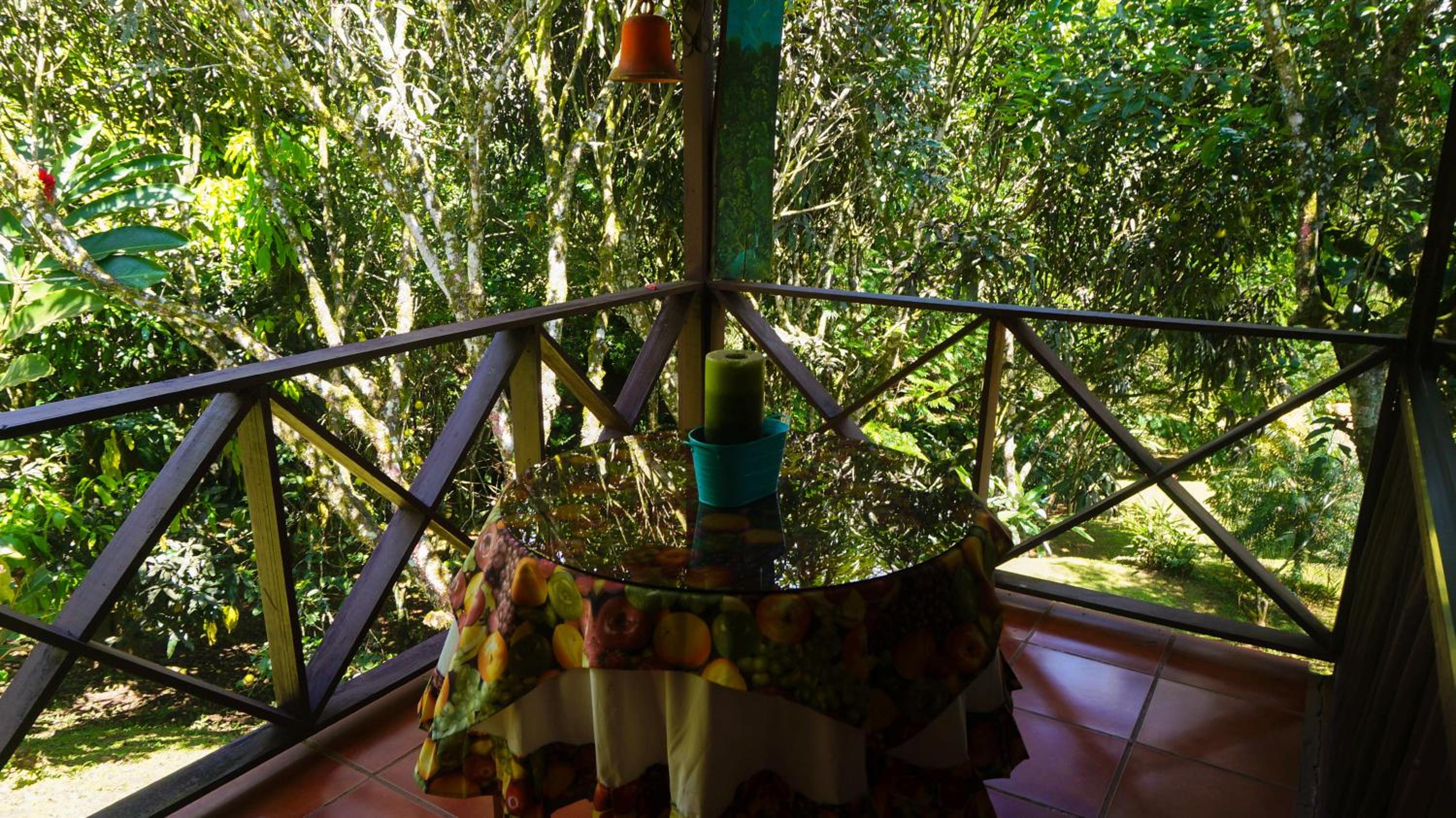 Hospedaje La Naciente
