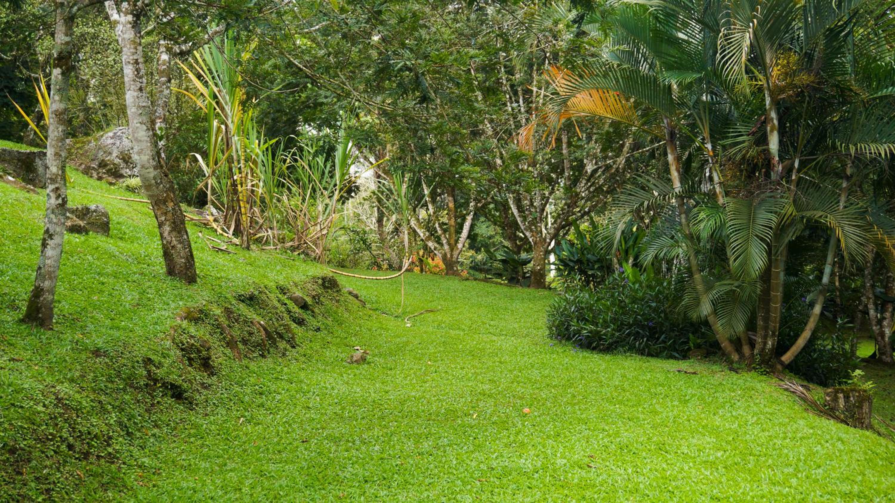 Hospedaje La Naciente