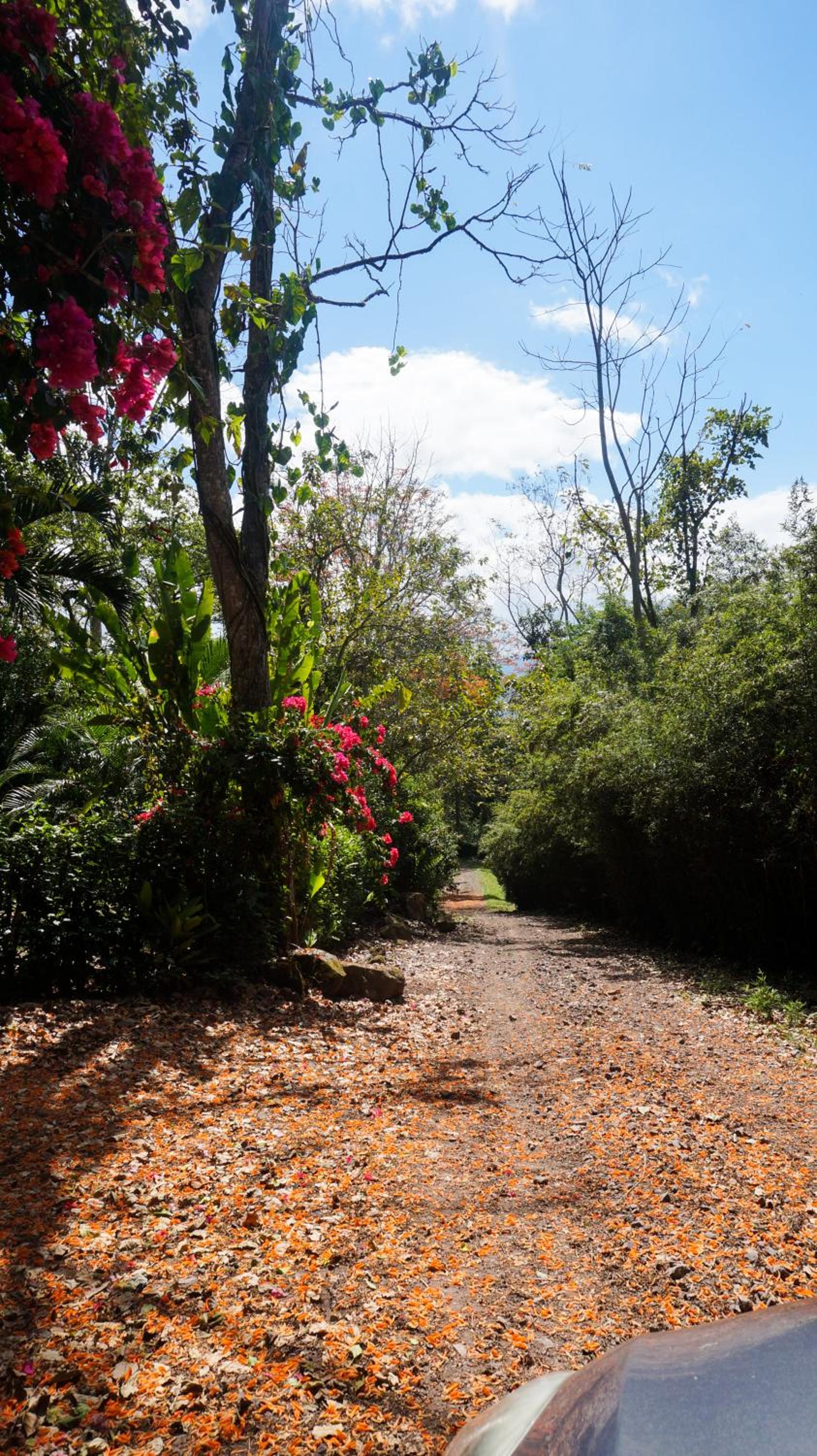 Hospedaje La Naciente