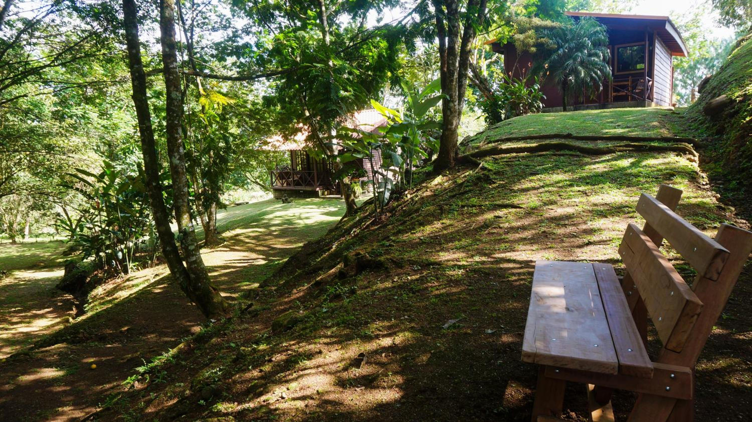 Hospedaje La Naciente
