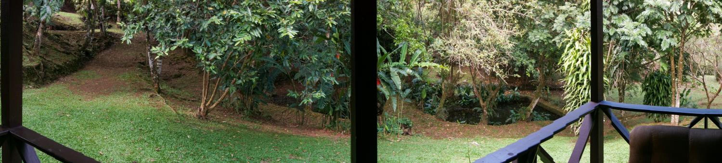 Hospedaje La Naciente