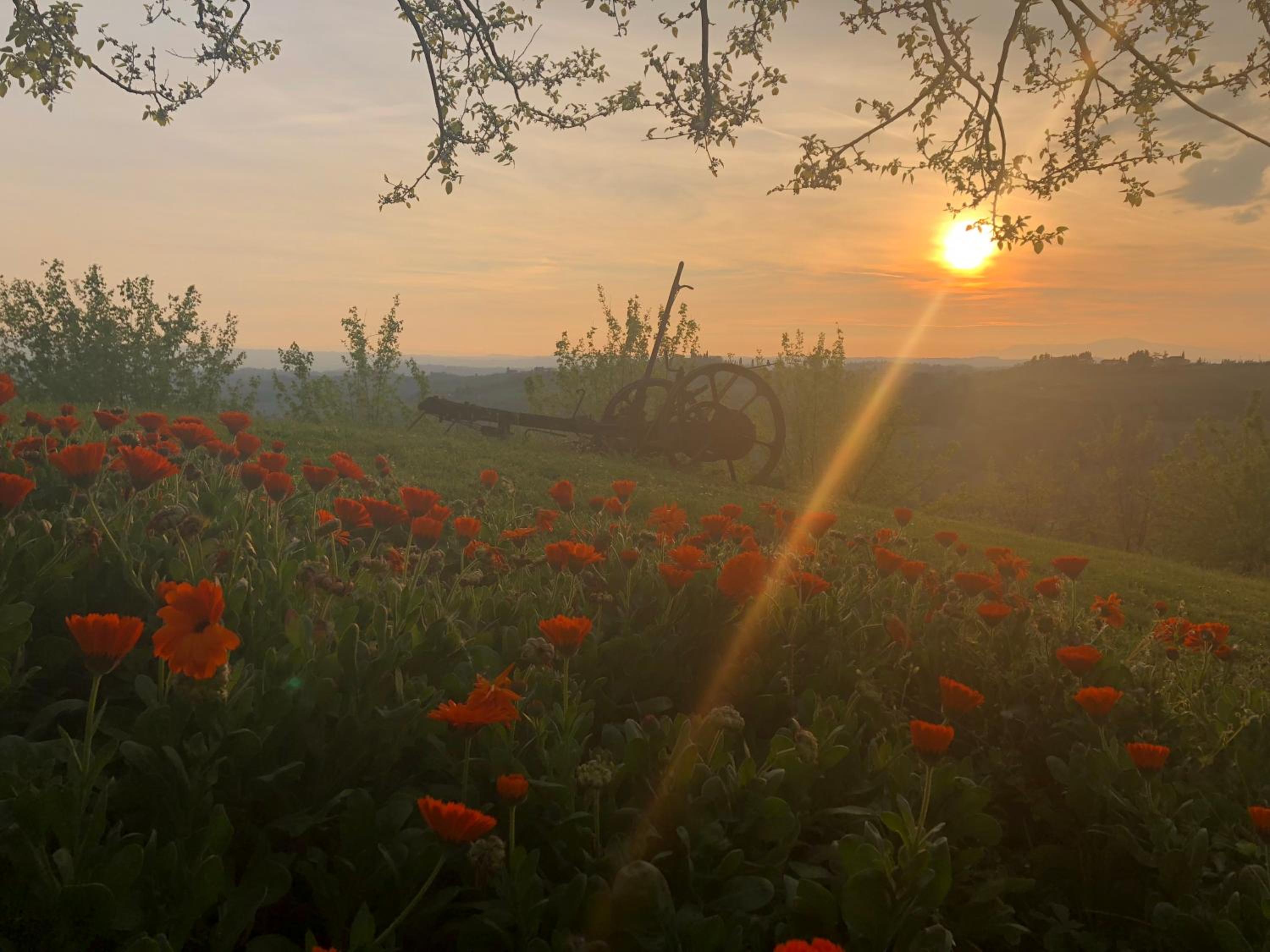 Podere Casato