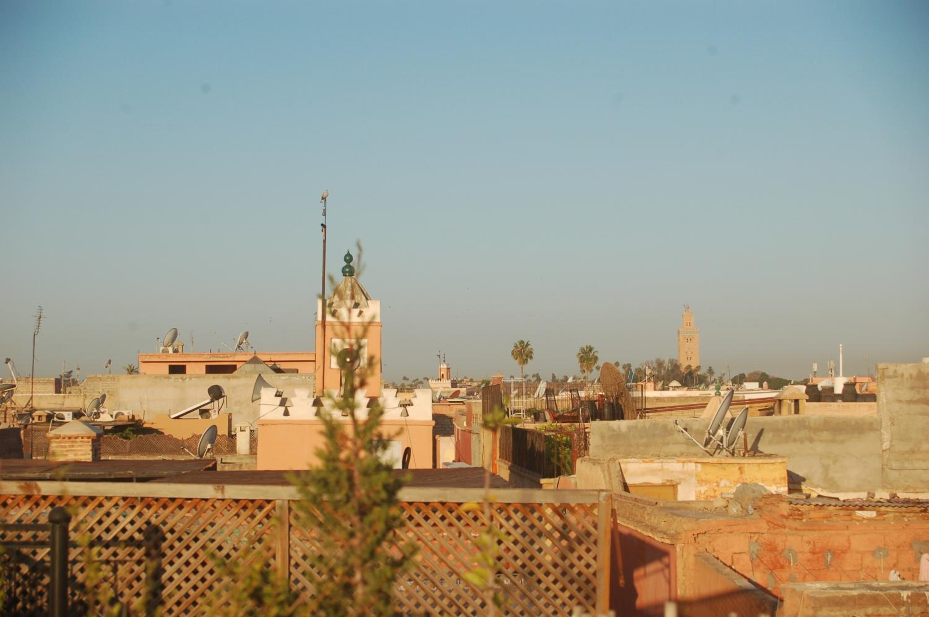 roof