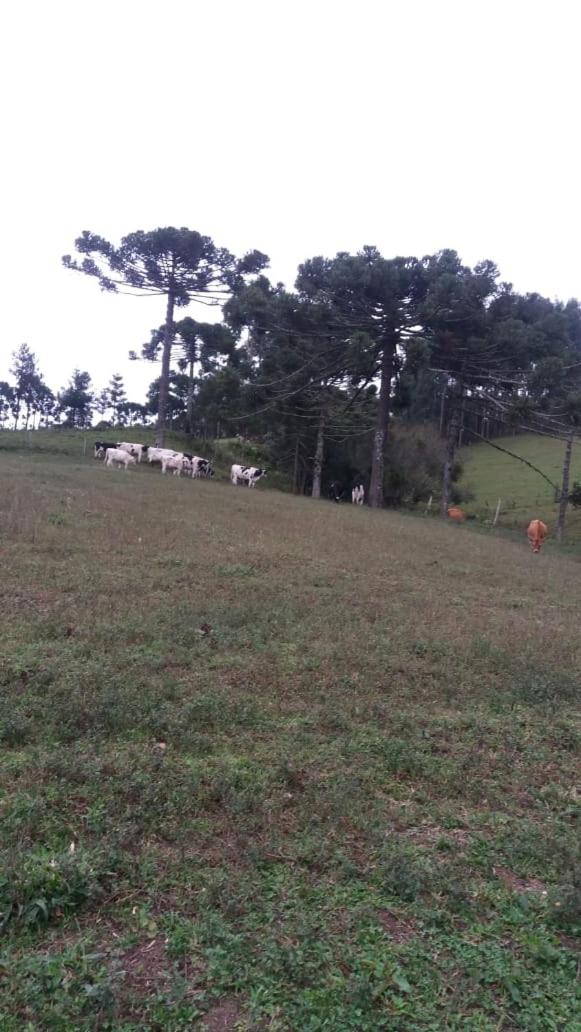 Cantinho do Sossego view 5