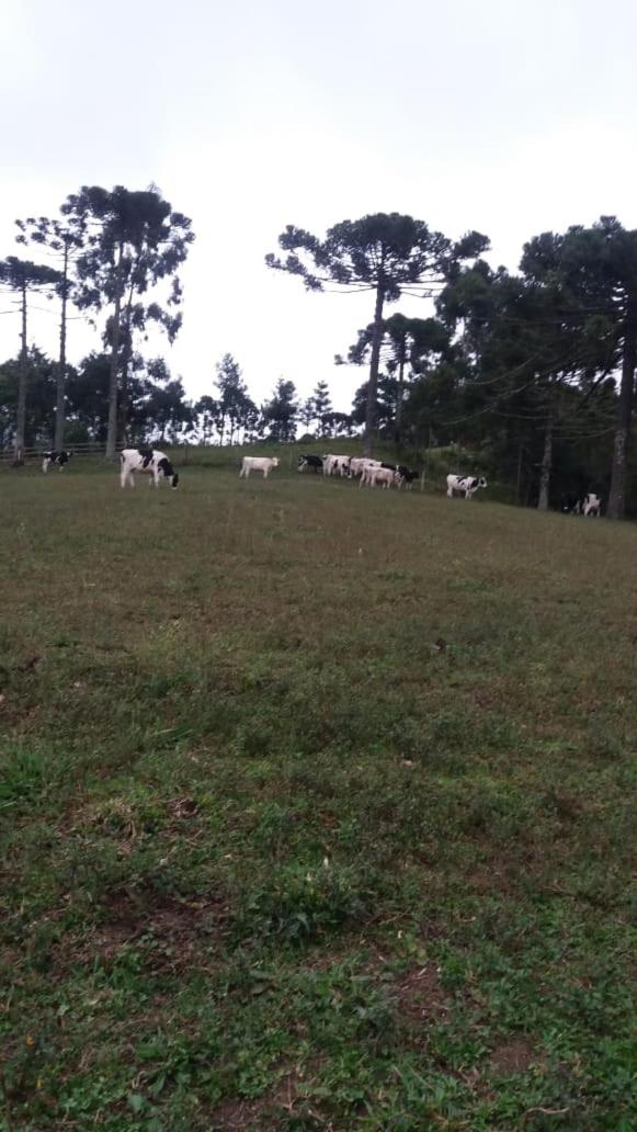 Cantinho do Sossego view 2