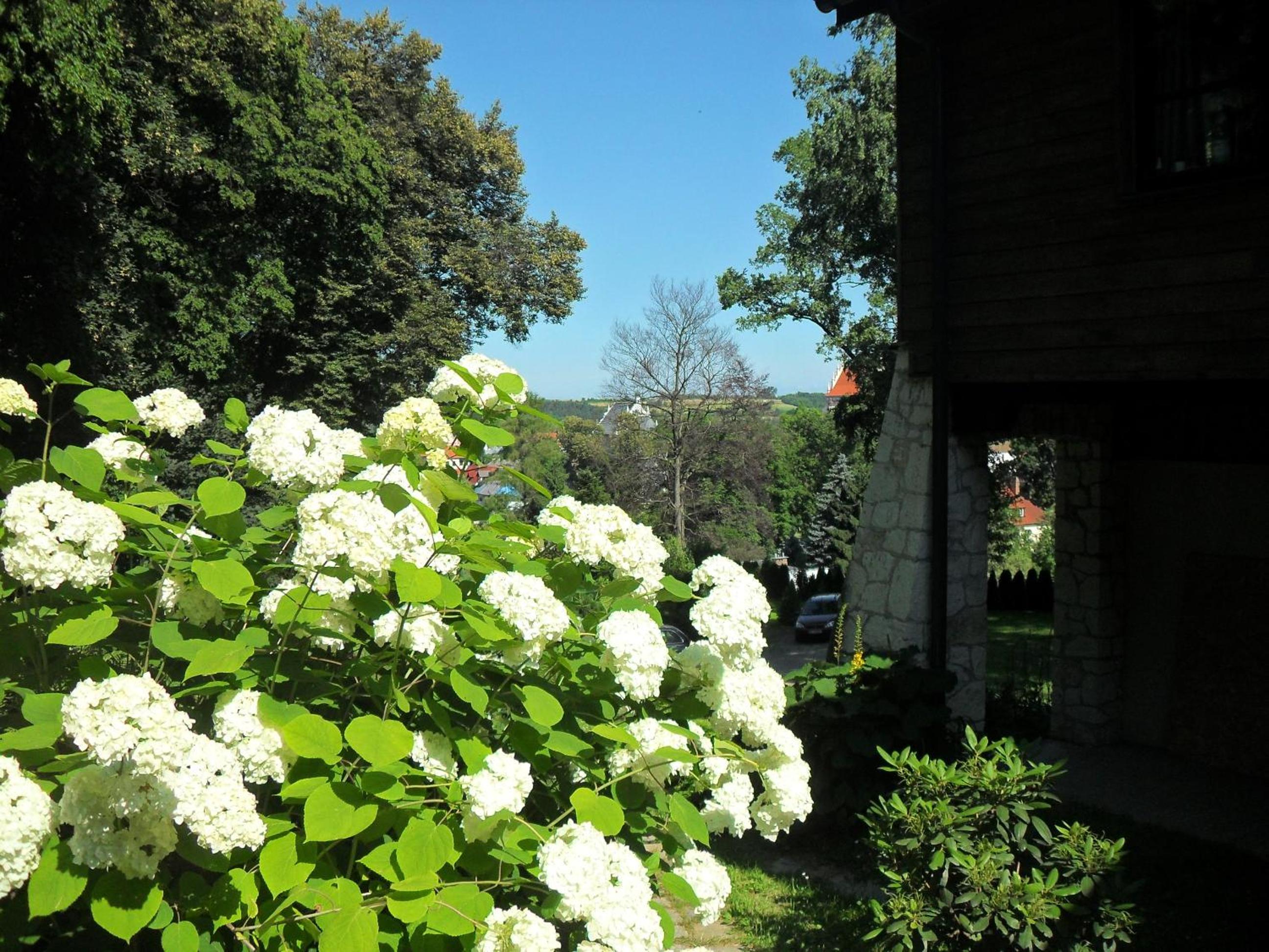 Photo 26