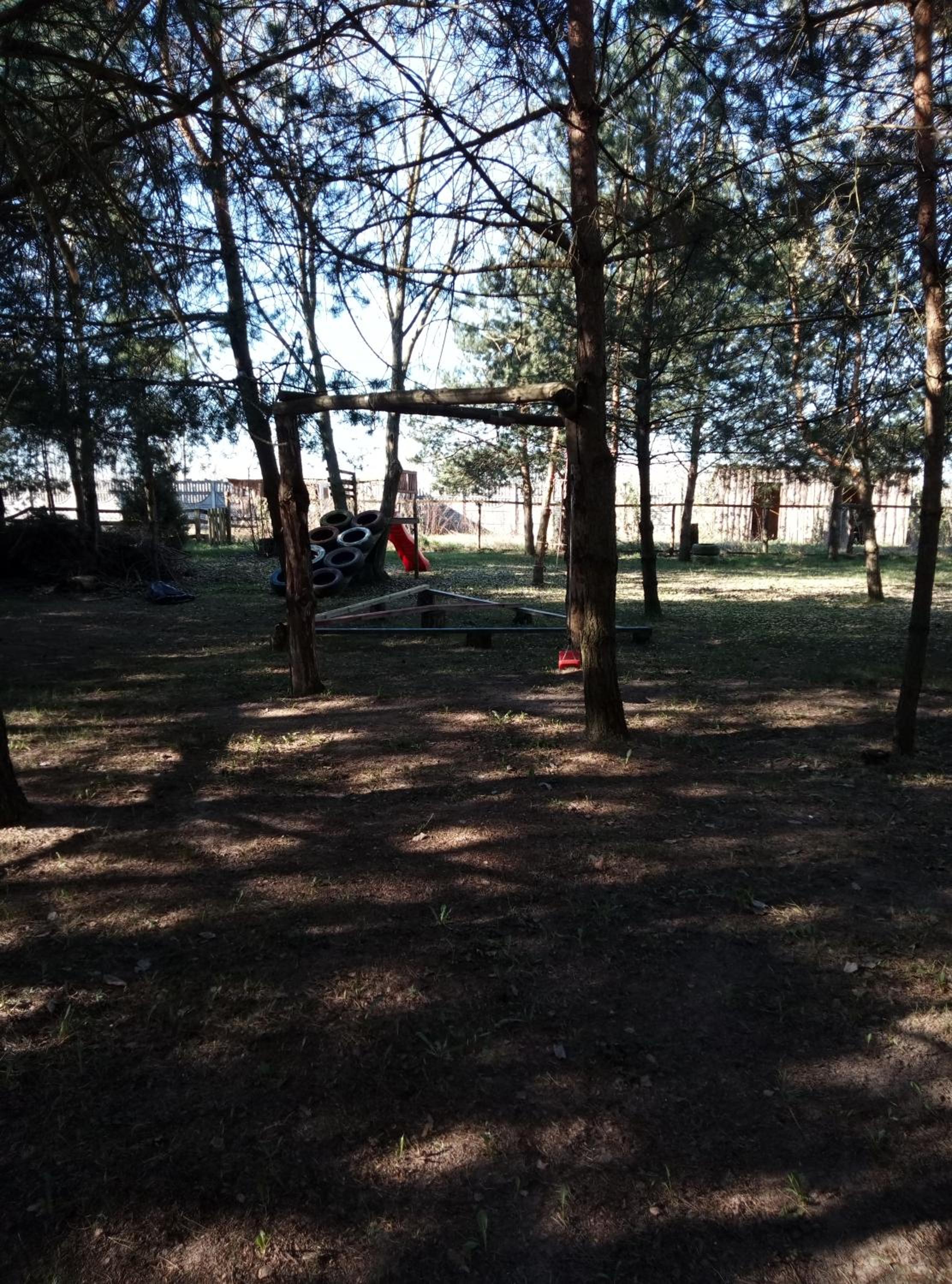 Sosnowe Zacisze Barszczewo, photo 25