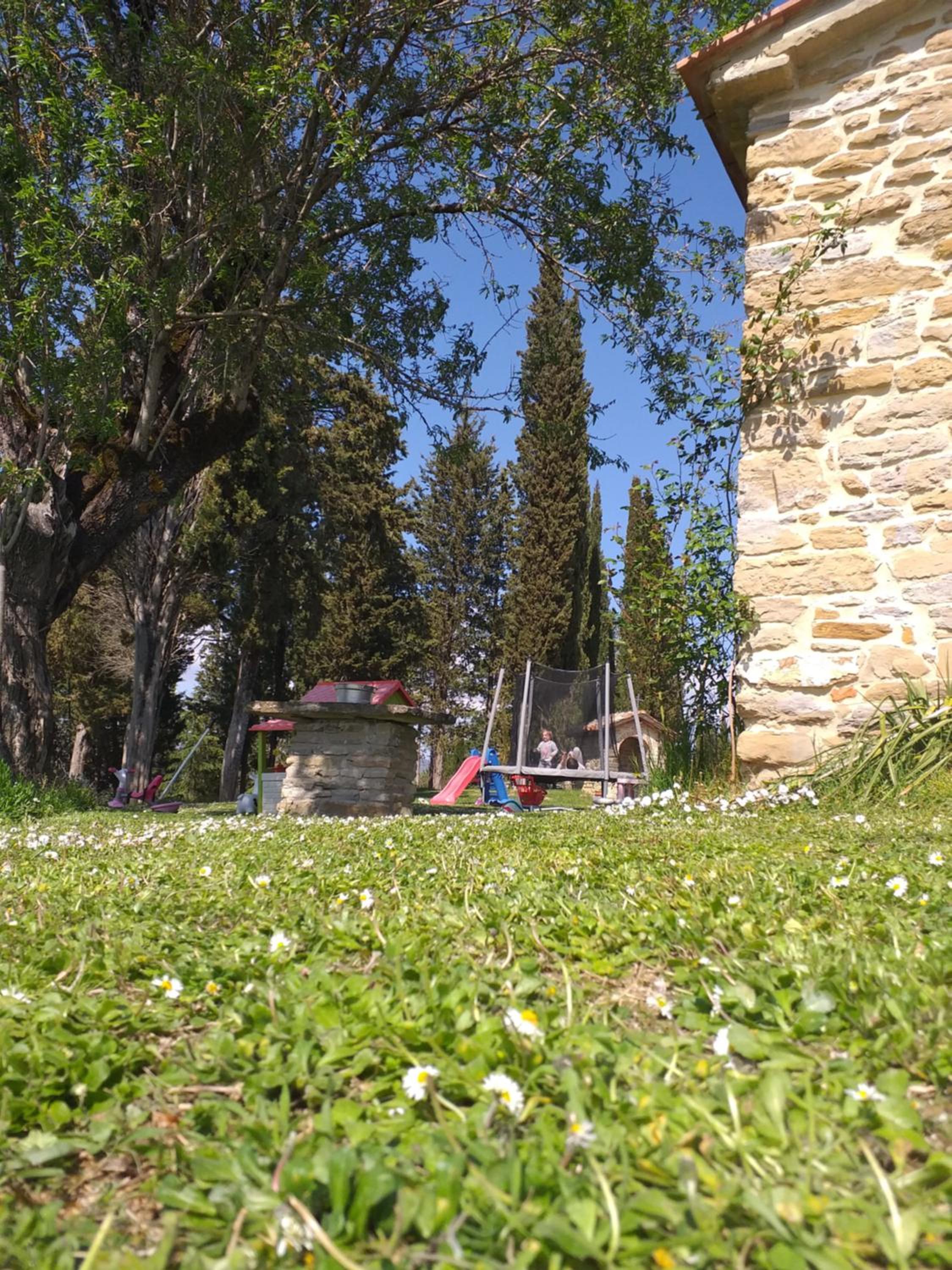 Photo 24