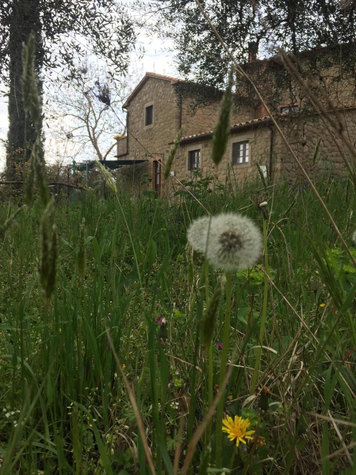 Giardino di Potentino view 4