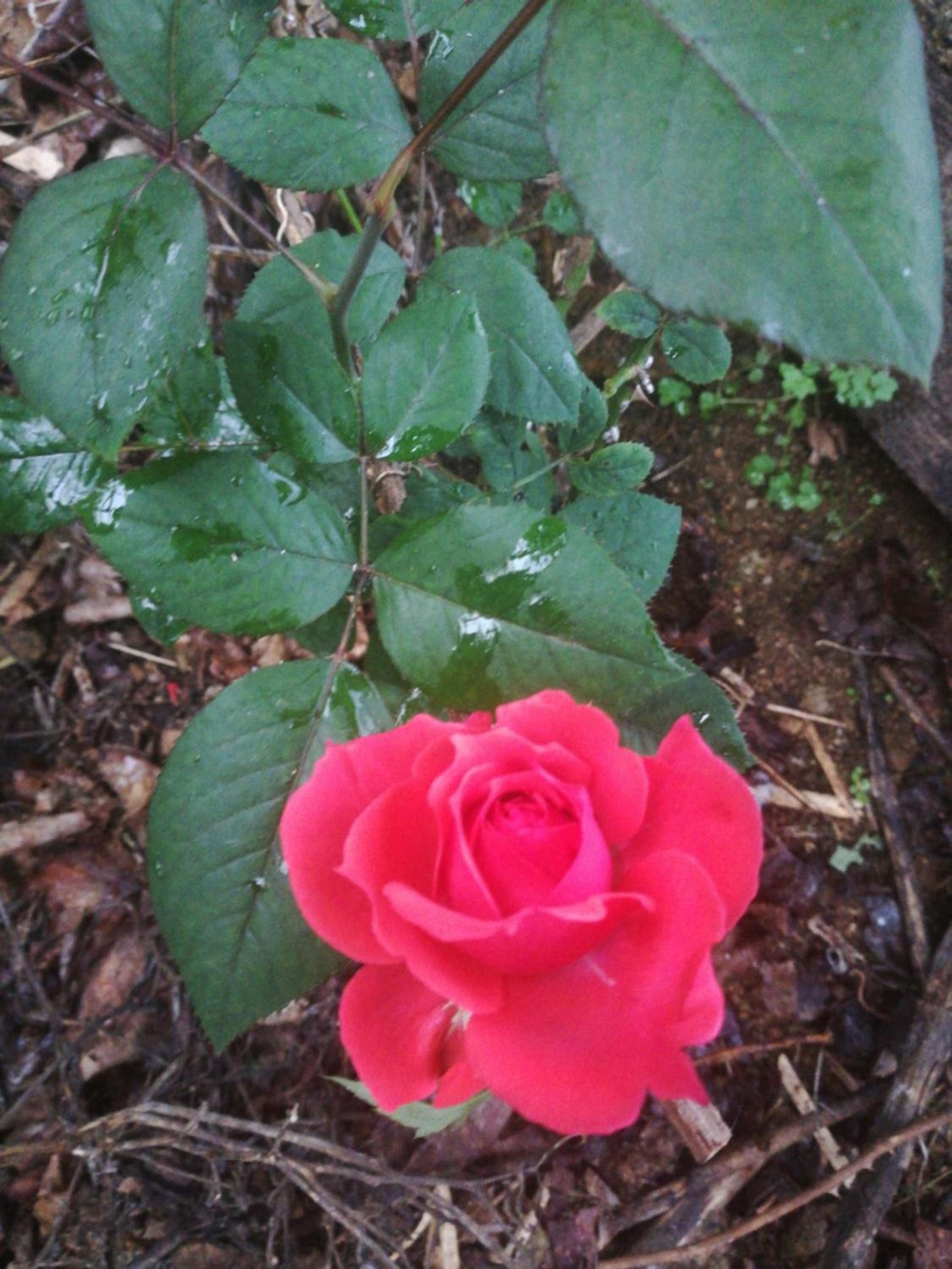 Photo 21