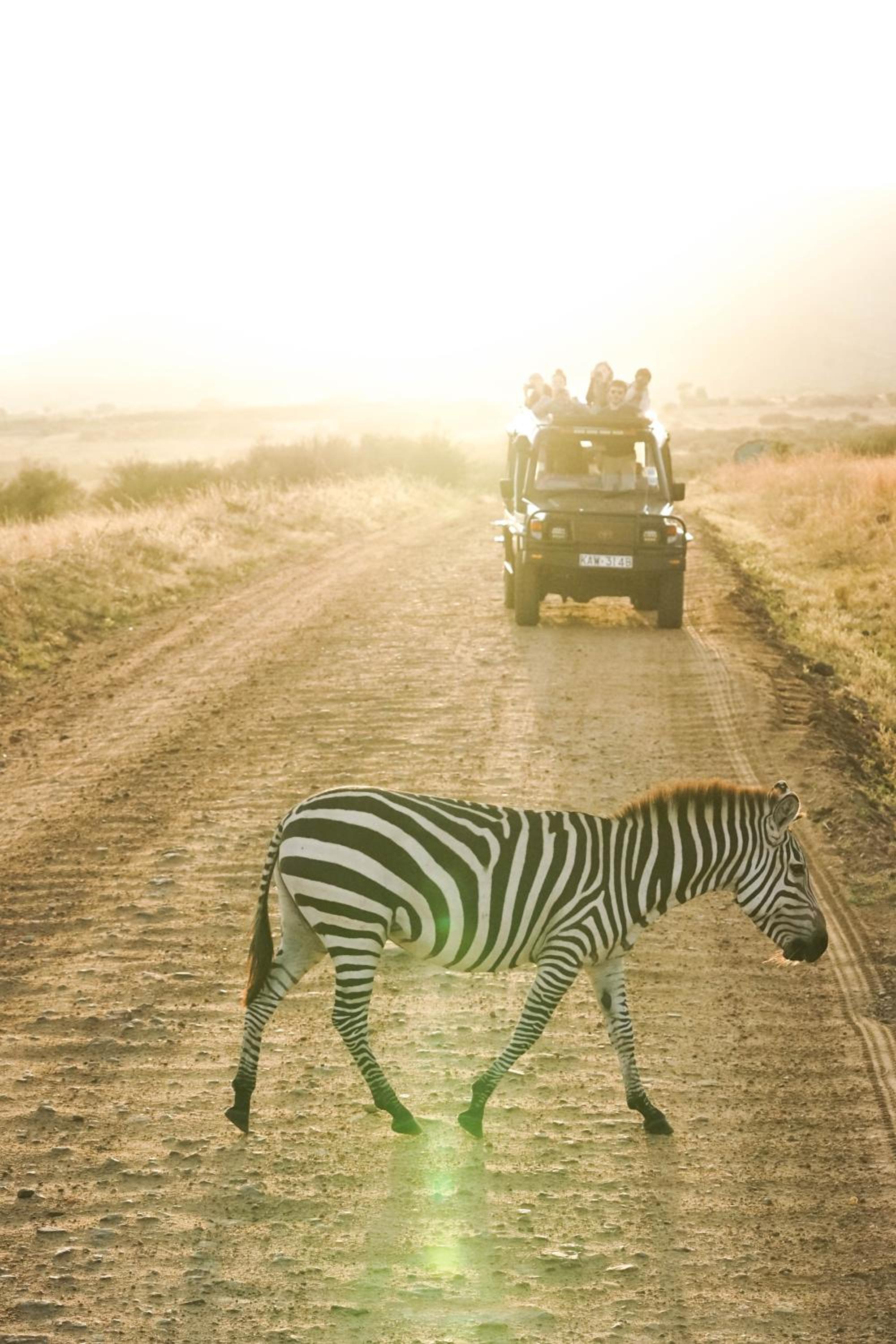 Lake Nakuru Lodge
