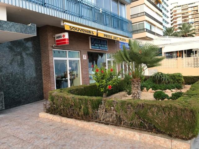 Benidorm 1ª línea playa Levante, garage, wifi, climatización view 5