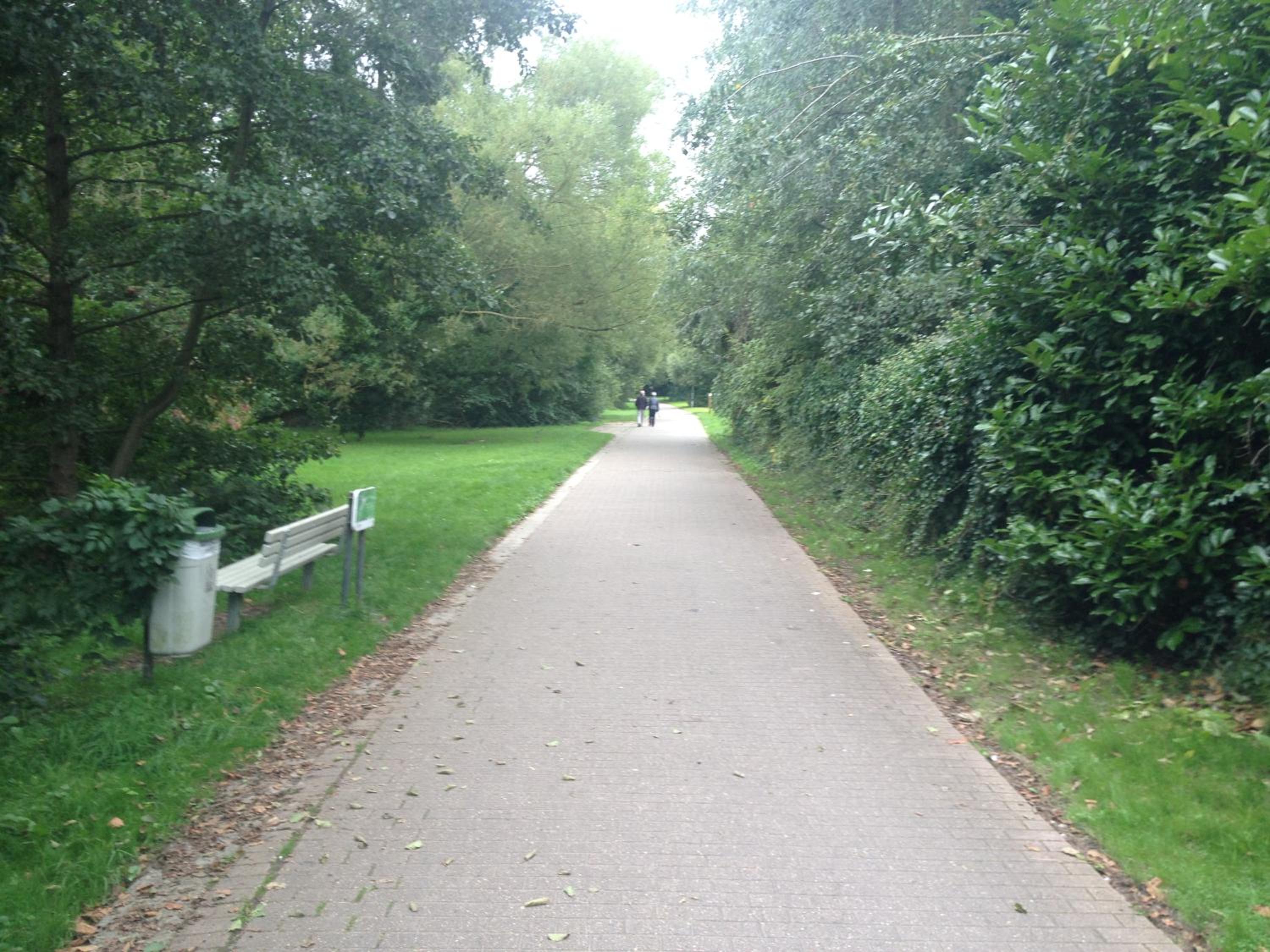 Photo 9