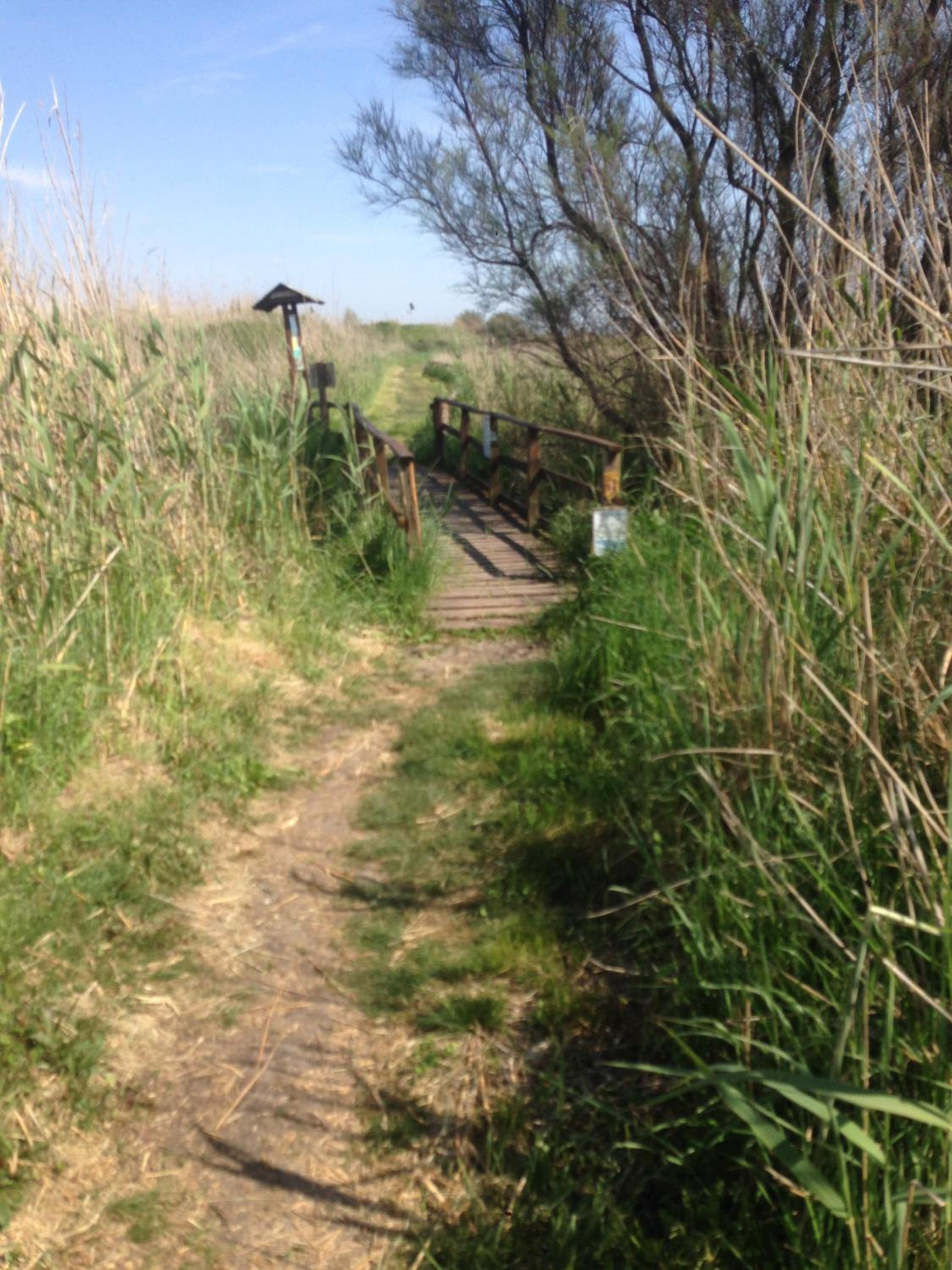 Photo 46