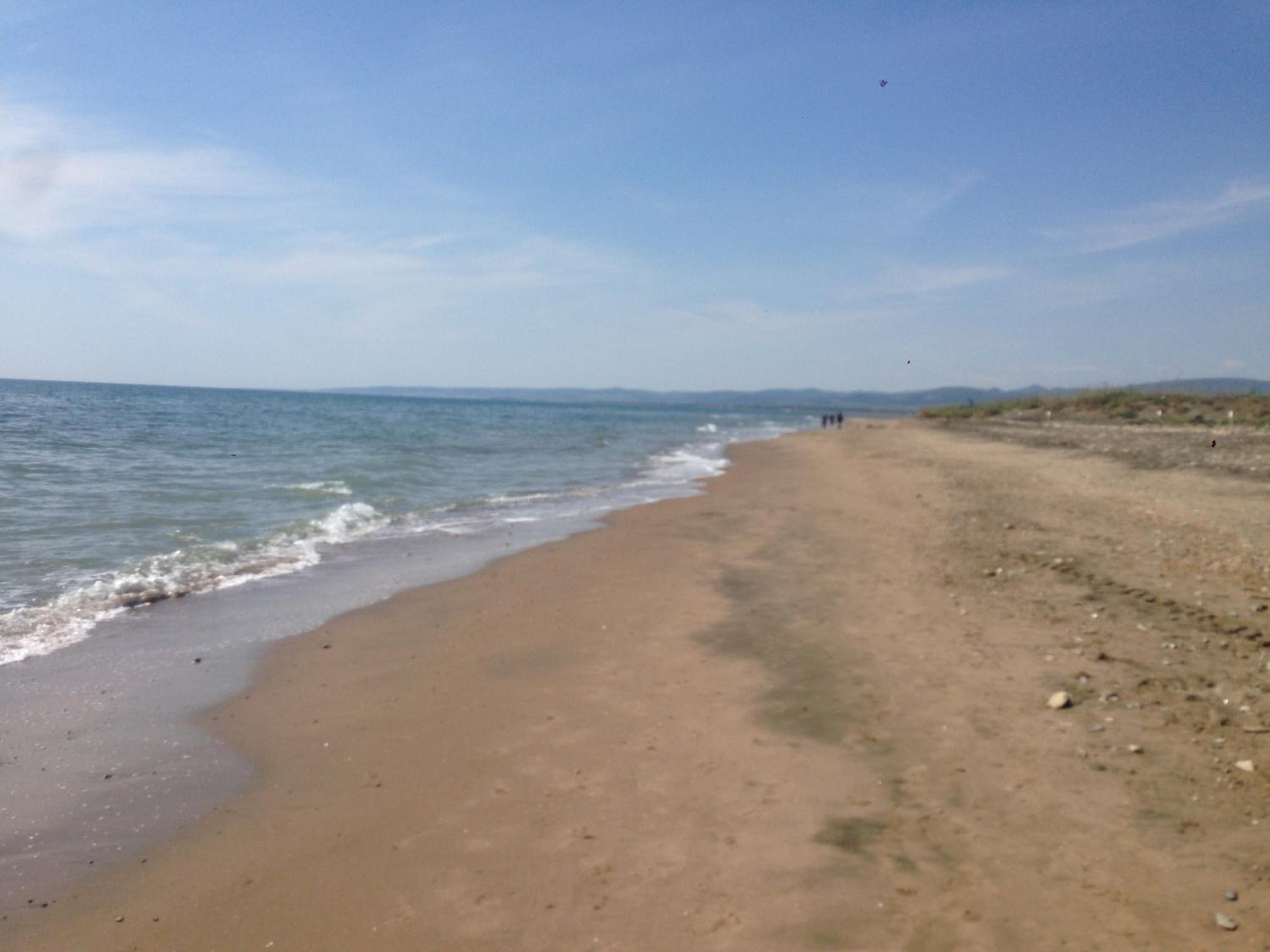 Photo 47