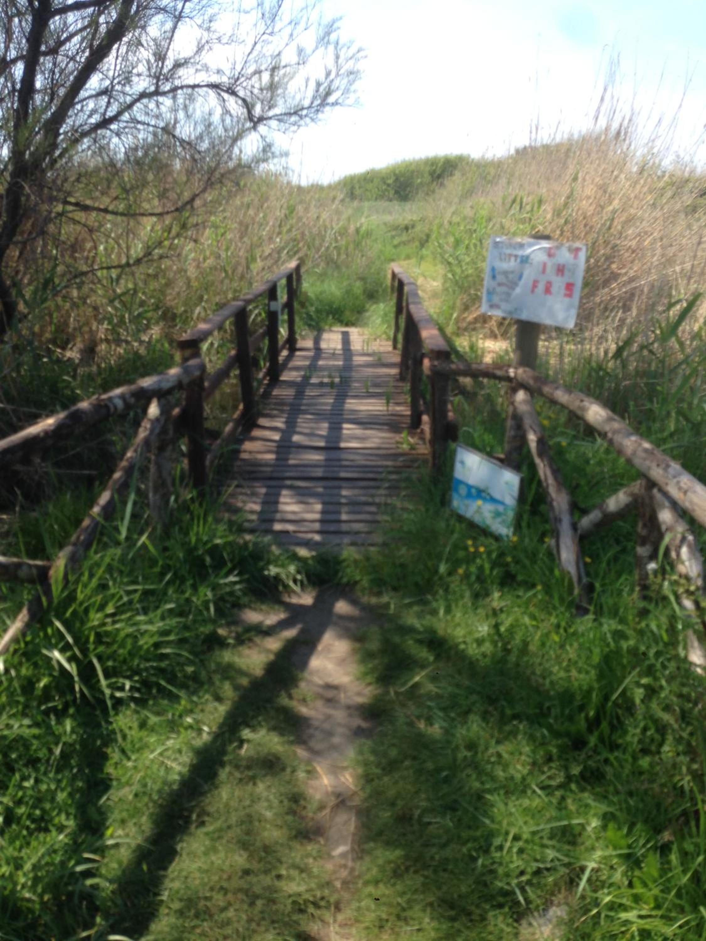 Photo 48