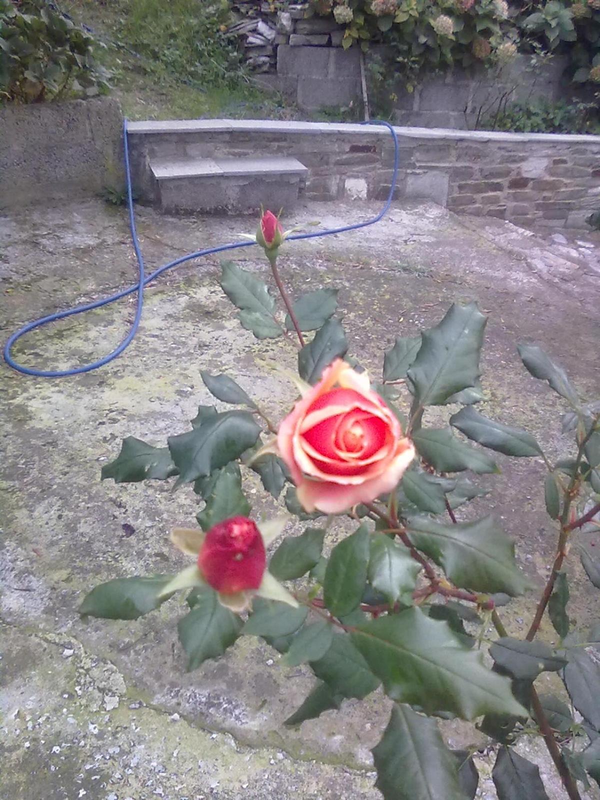 Photo 24