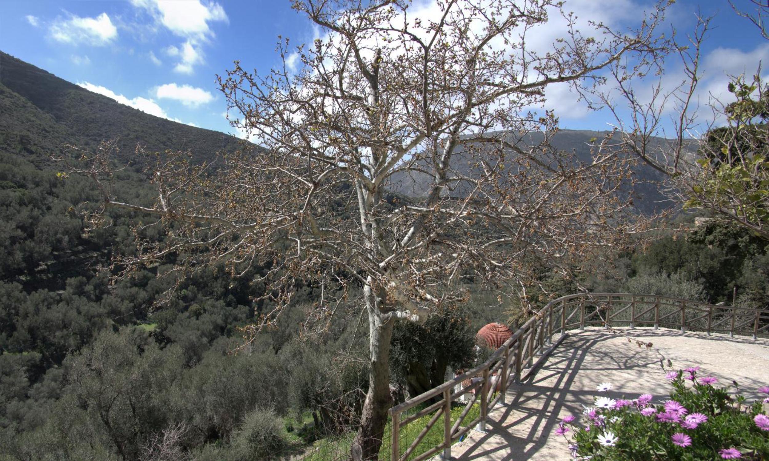 Villa Tzitzifia - Near Elafonisi