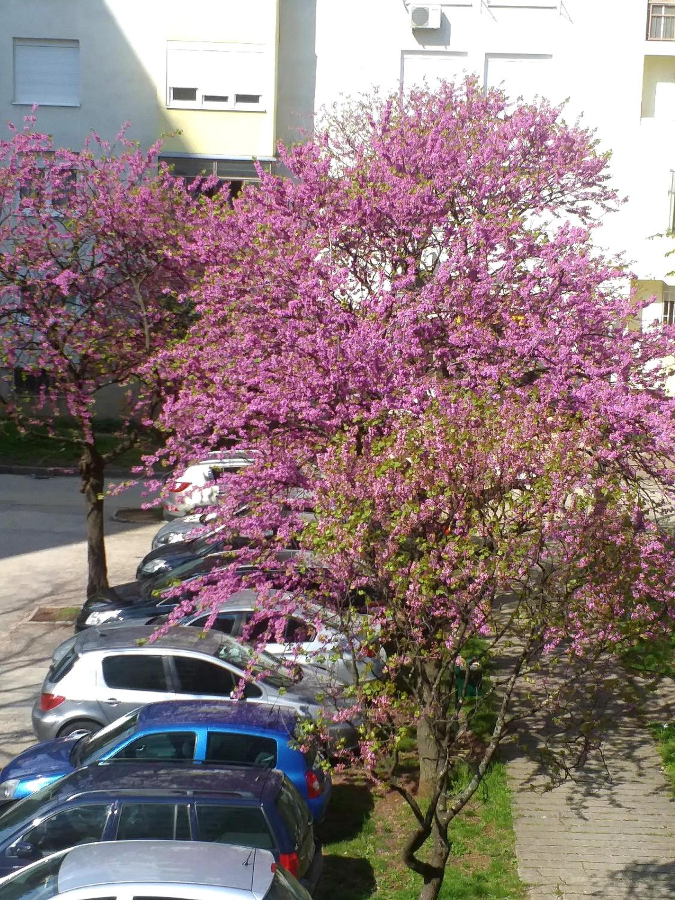 Photo 33