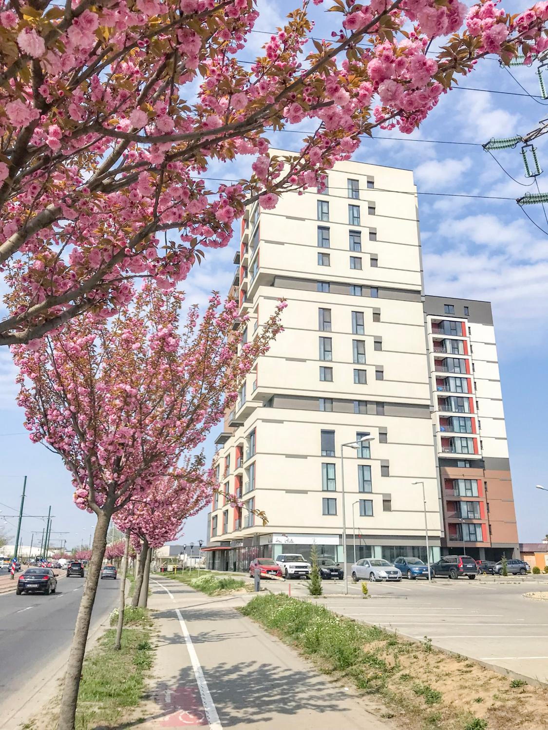 Hotel Mediterranean Style Apartment