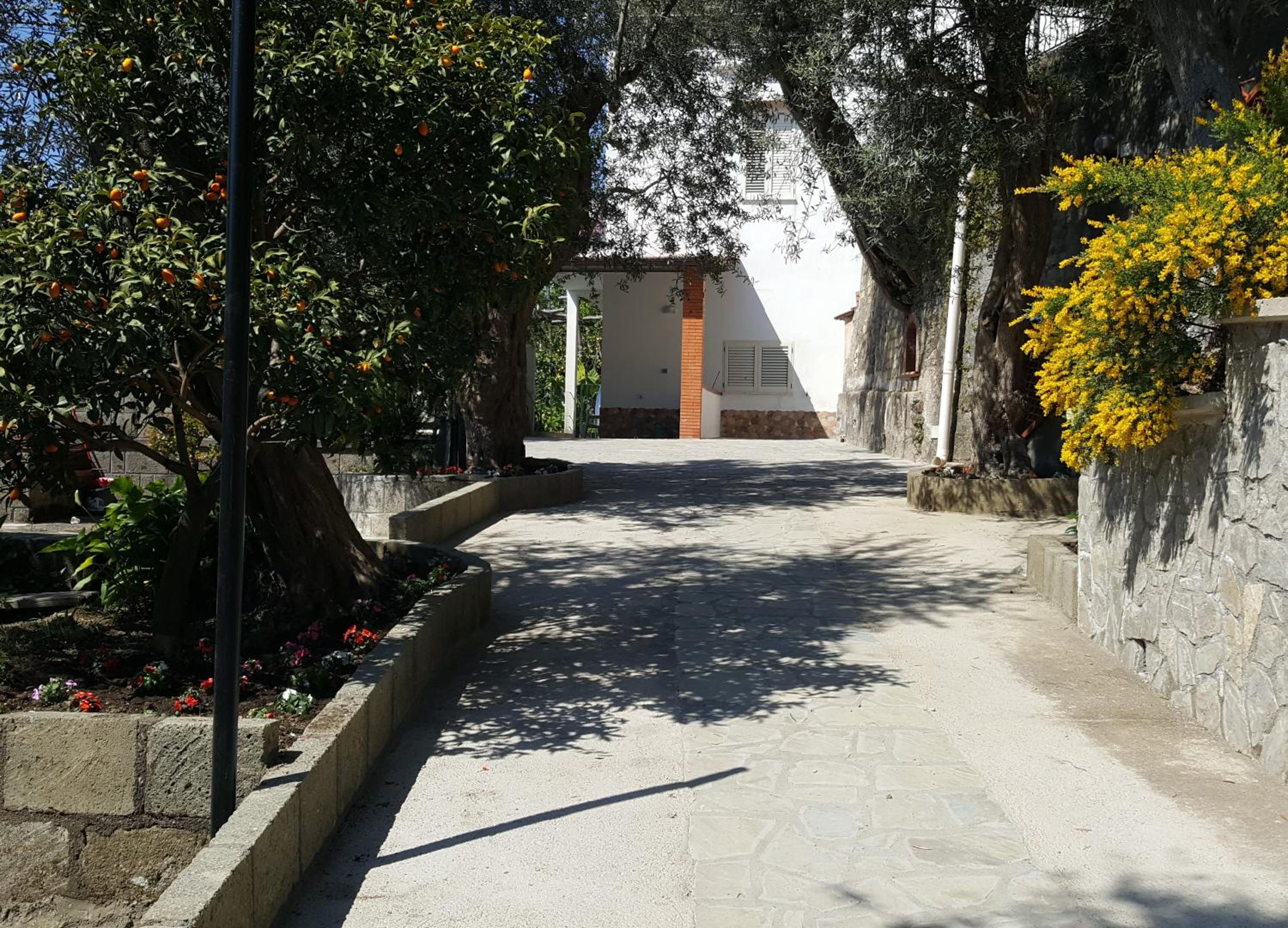 La Scaletta Casa Vacanze photo 3