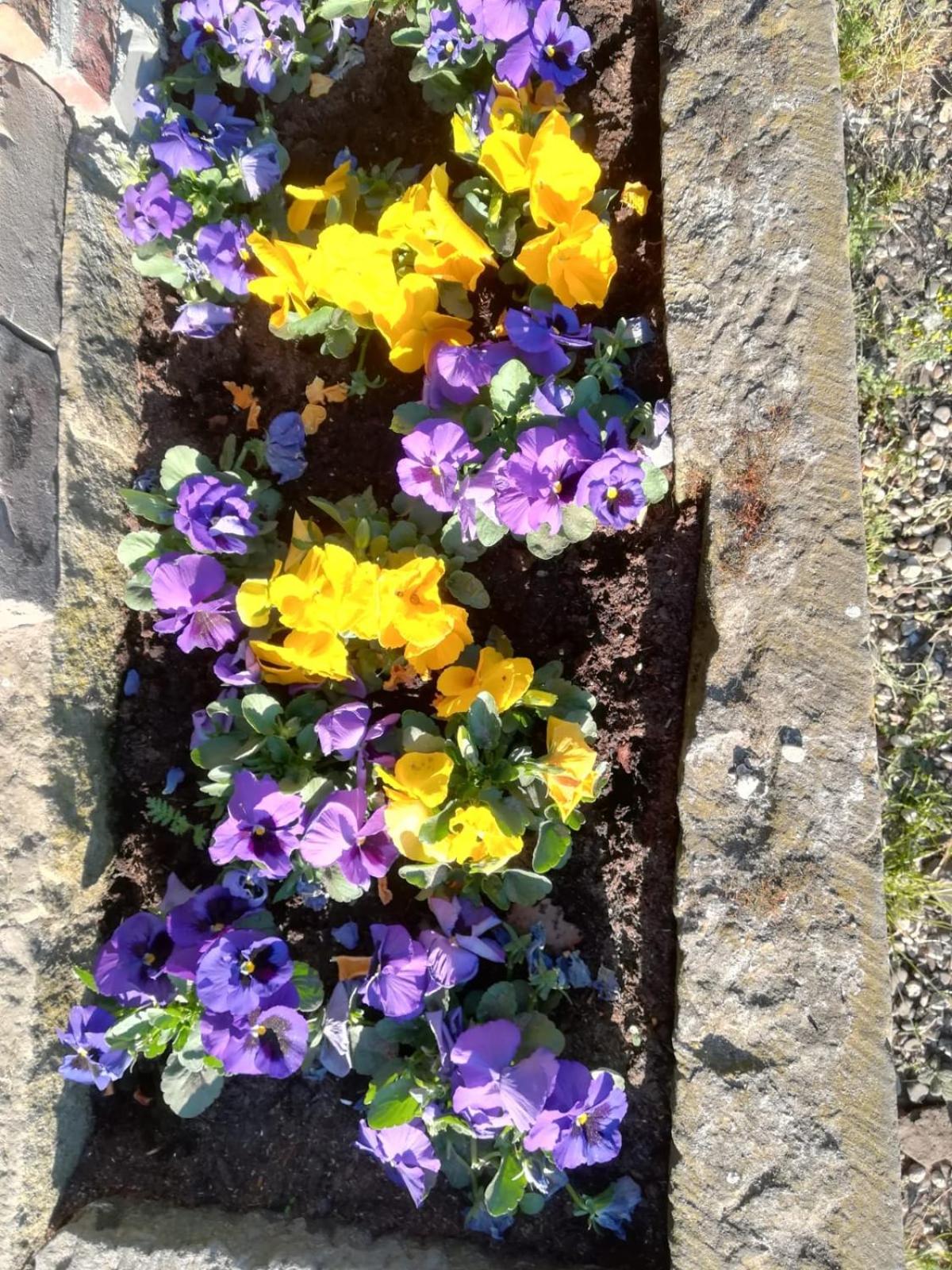 Photo 13