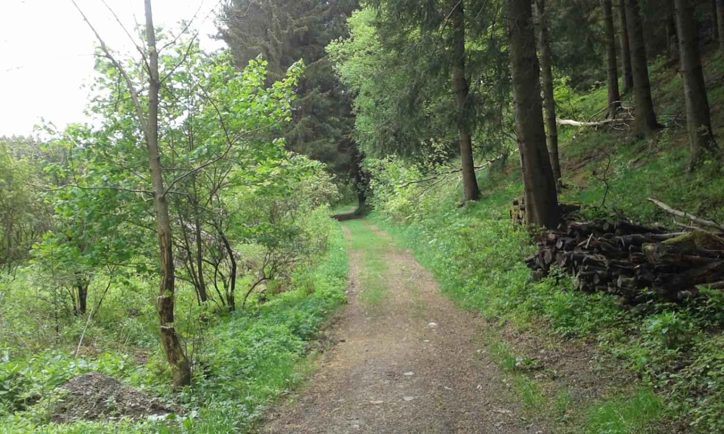 Photo 25