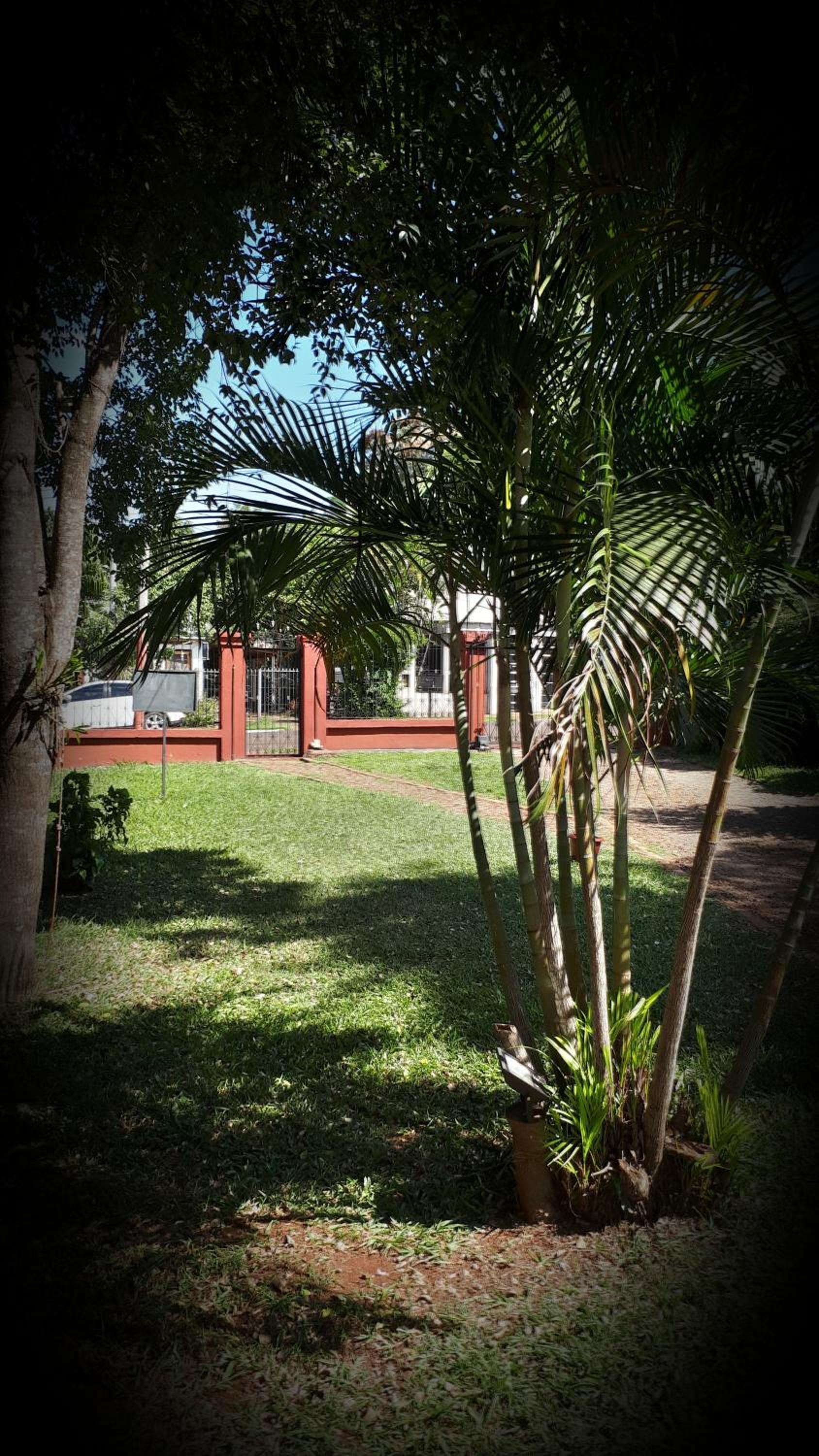 Complejo Solar Del Iguazu 1