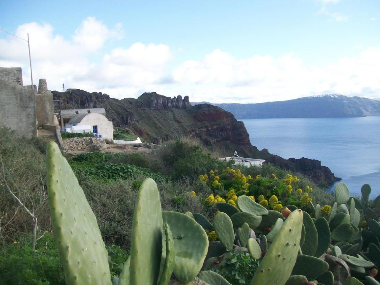 Photo 45