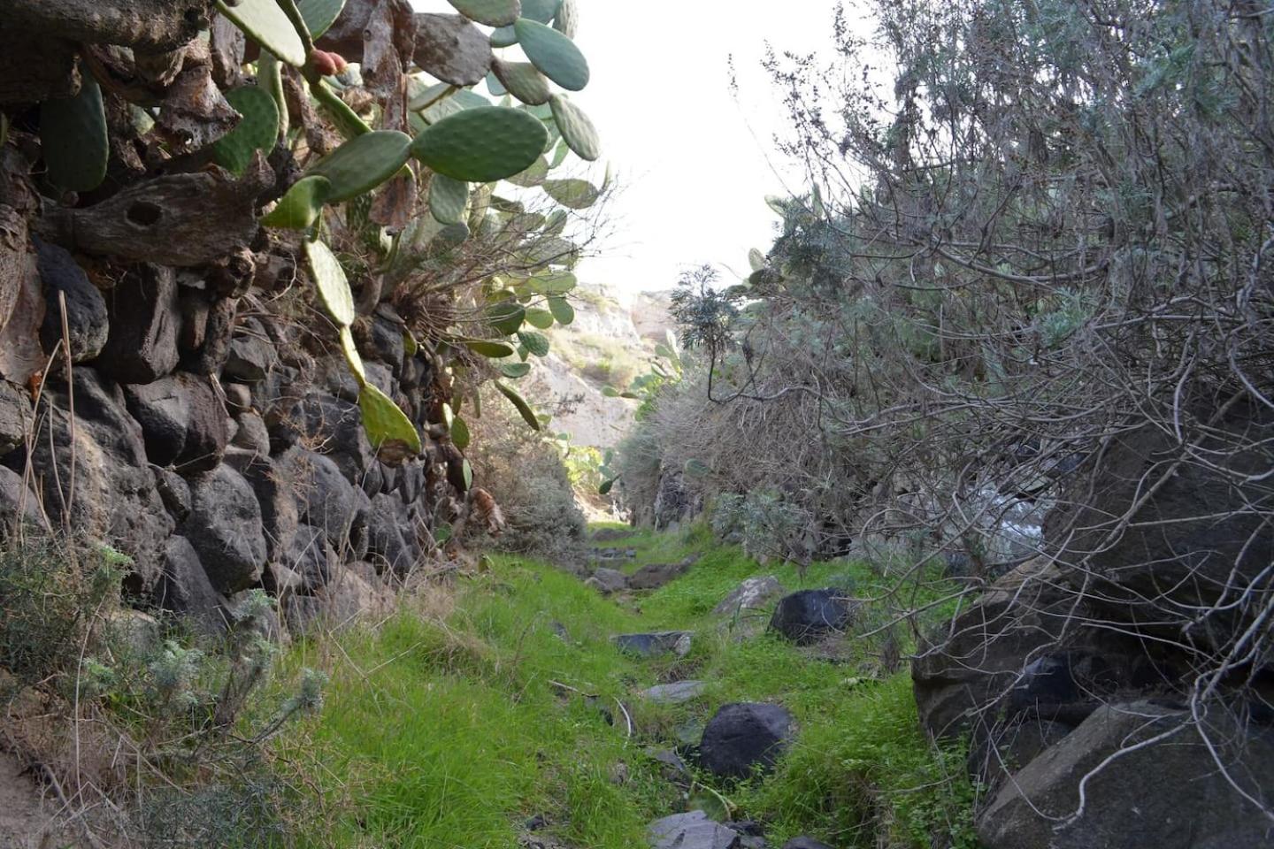 Photo 49