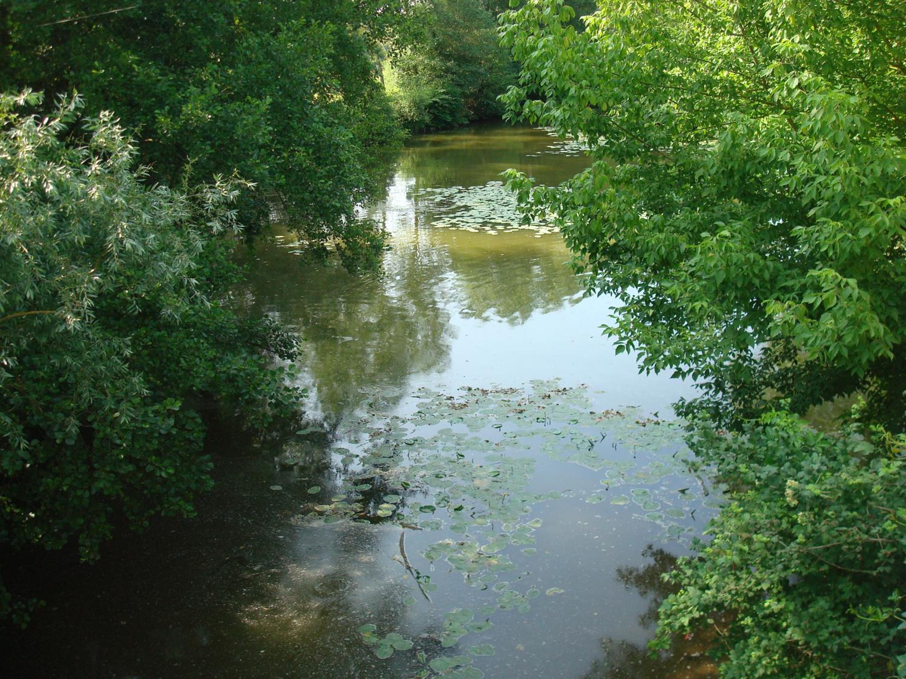 Photo 8