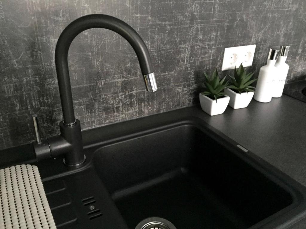 Karlsruhe Vacations - Altbauwohnung im Herzen von Karlsruhe - Property Image 27