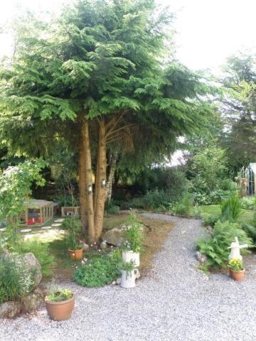 Kettle House B&B