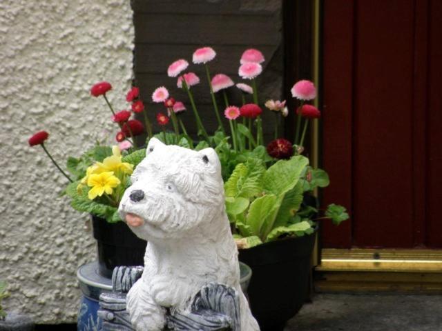 Kettle House B&B