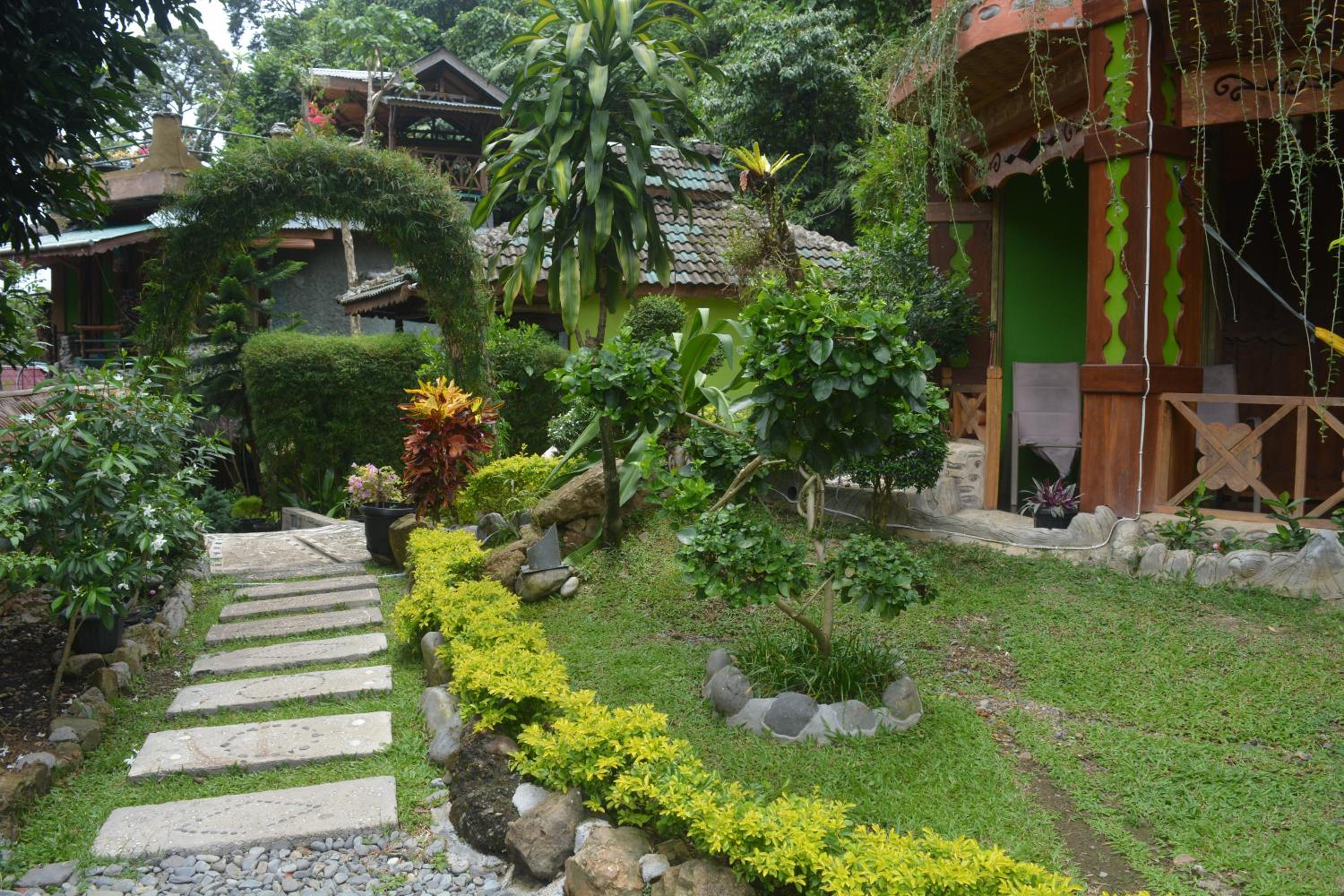 Photo 41