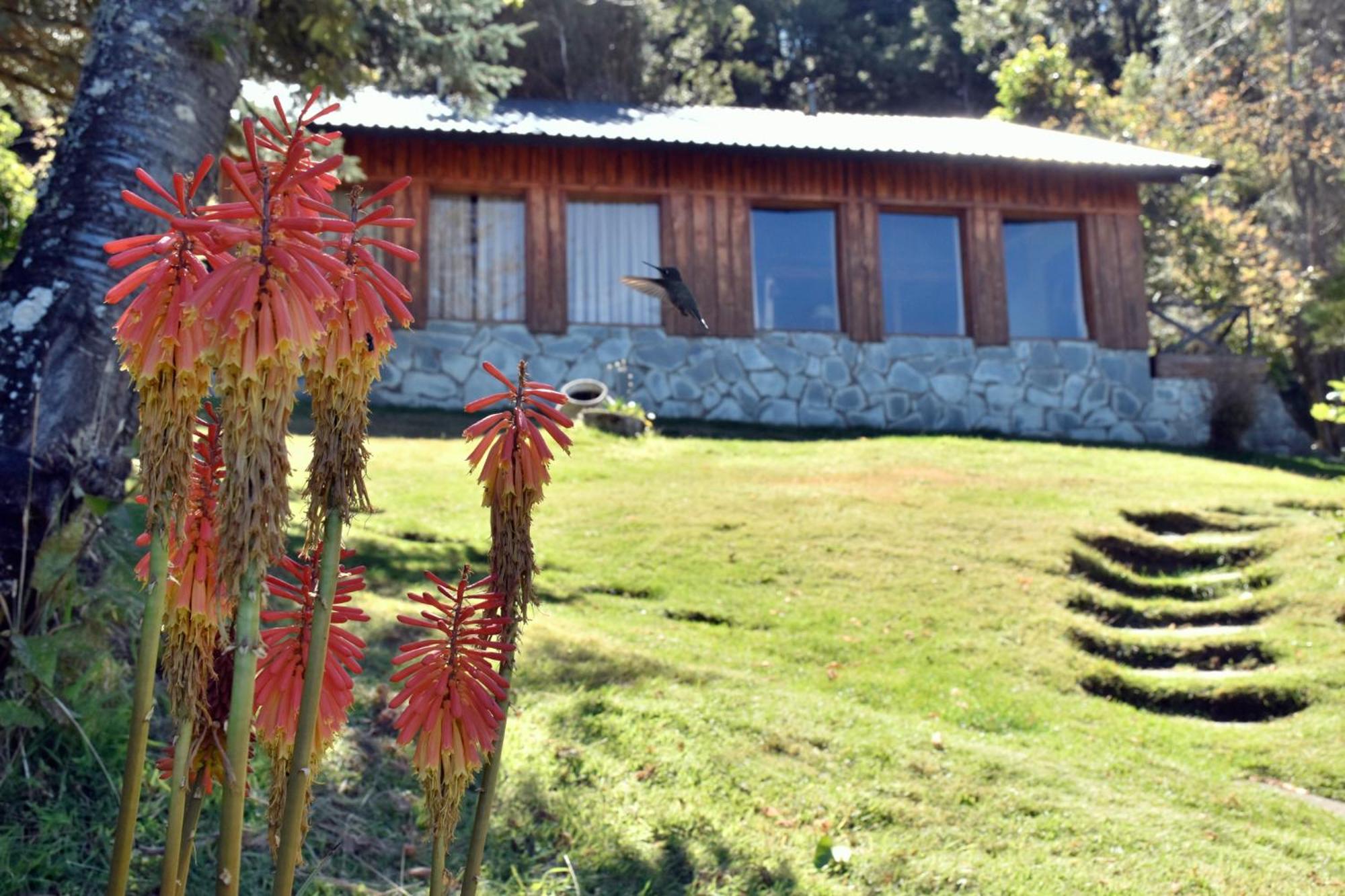 Cabañas Villa Pañil