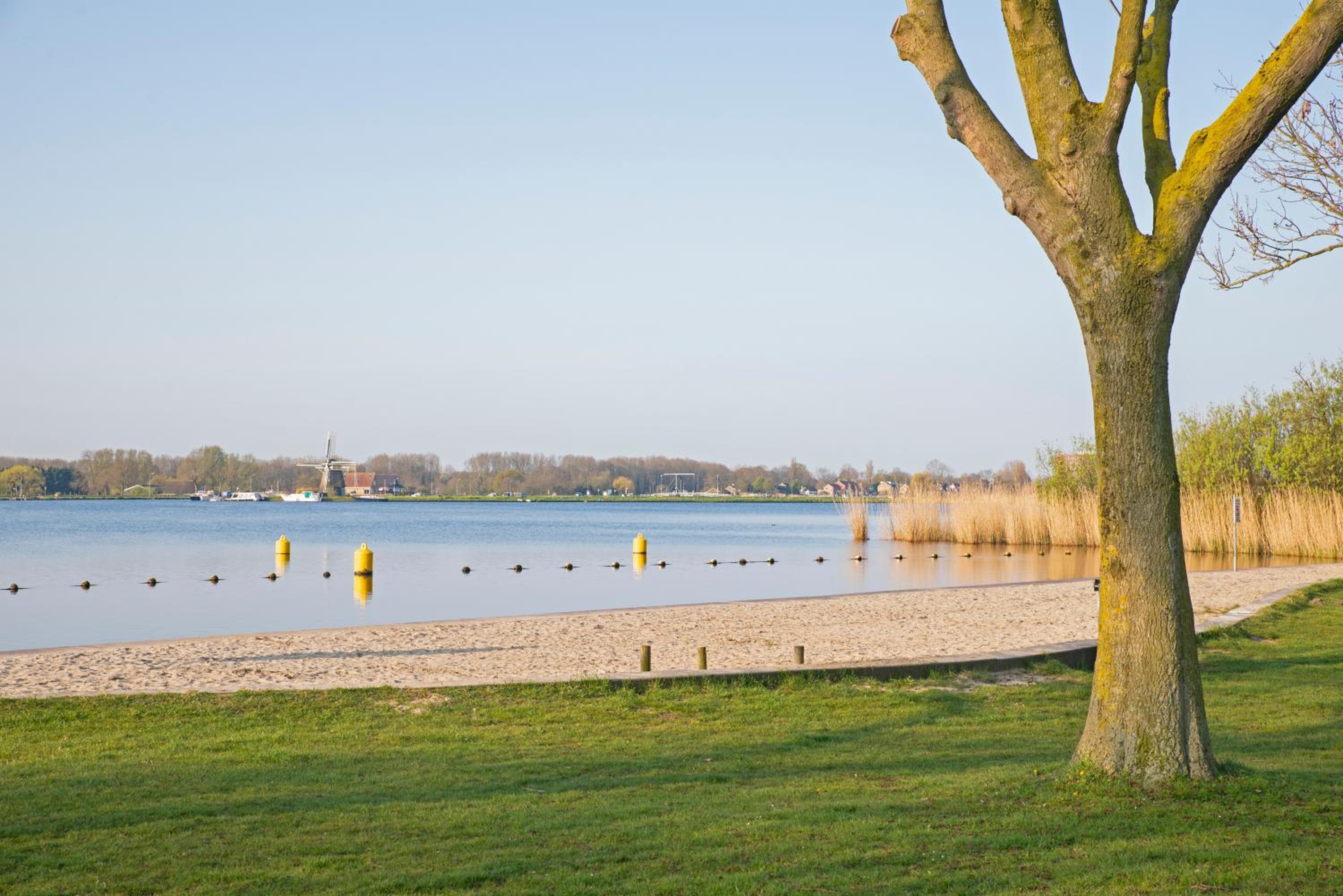 Studio Haarlemenmeer