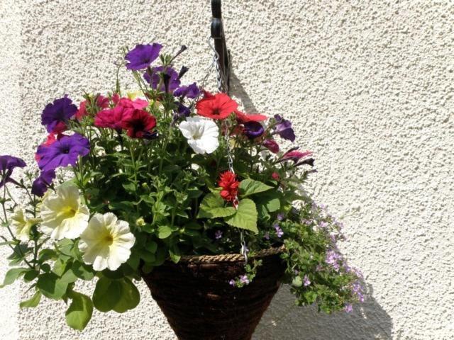 Kettle House B&B