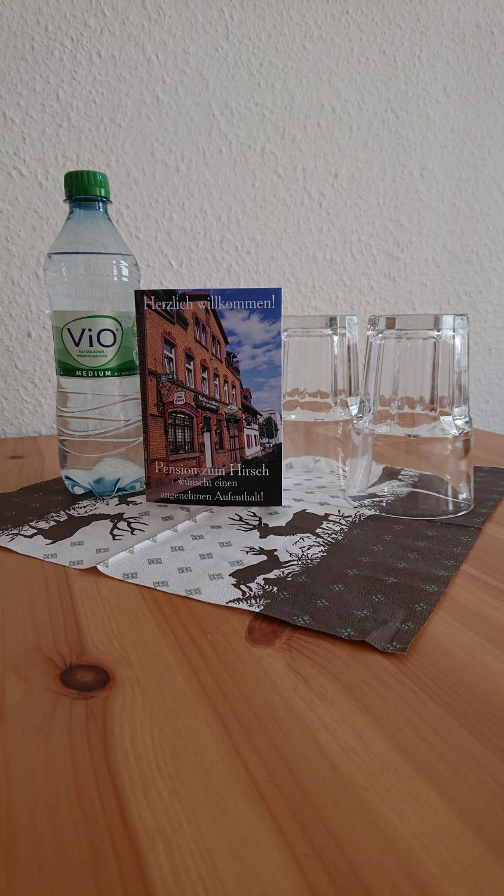 Hotel-Pension zum Hirsch