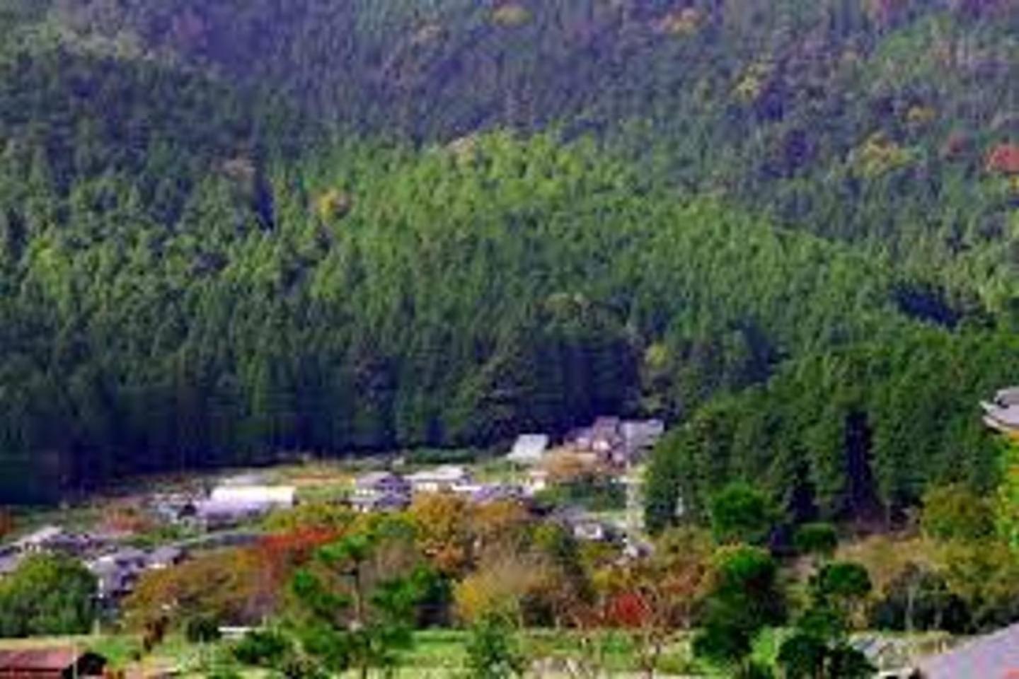 Close to Golden temple -Kinkakuji- view 4