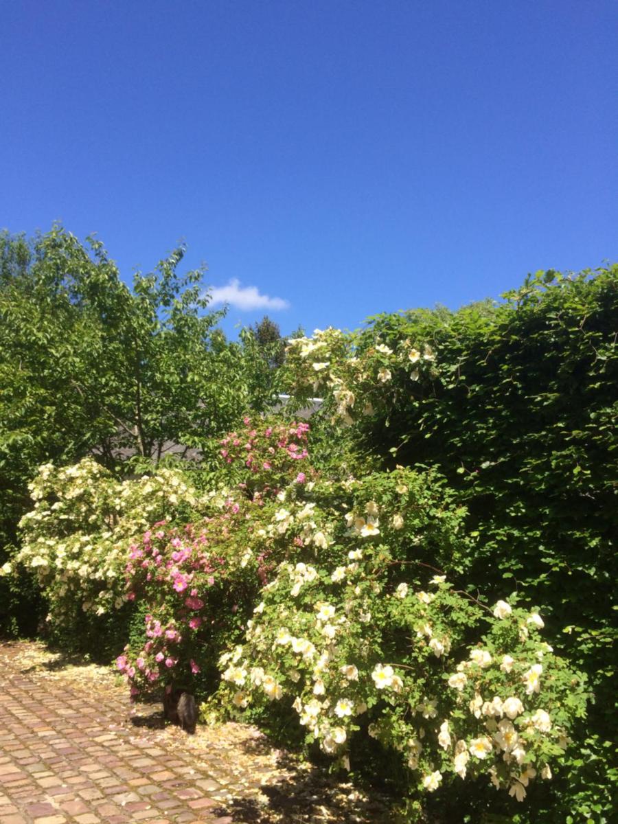 De ma fenetre view 4