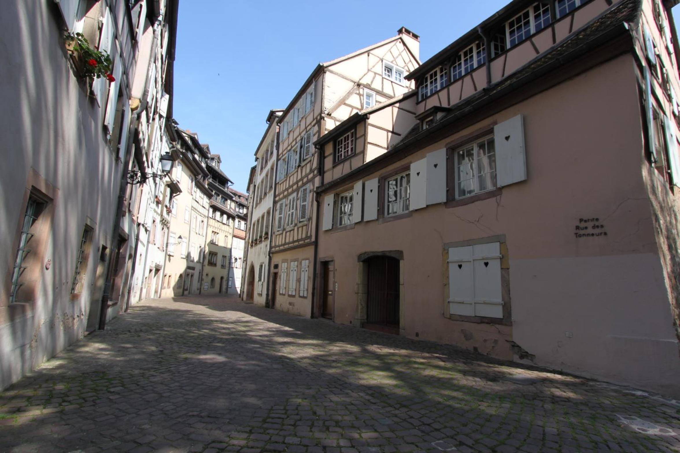 Photo 47