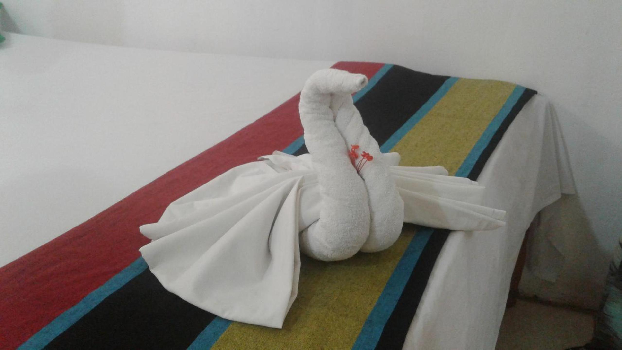 Photo 33