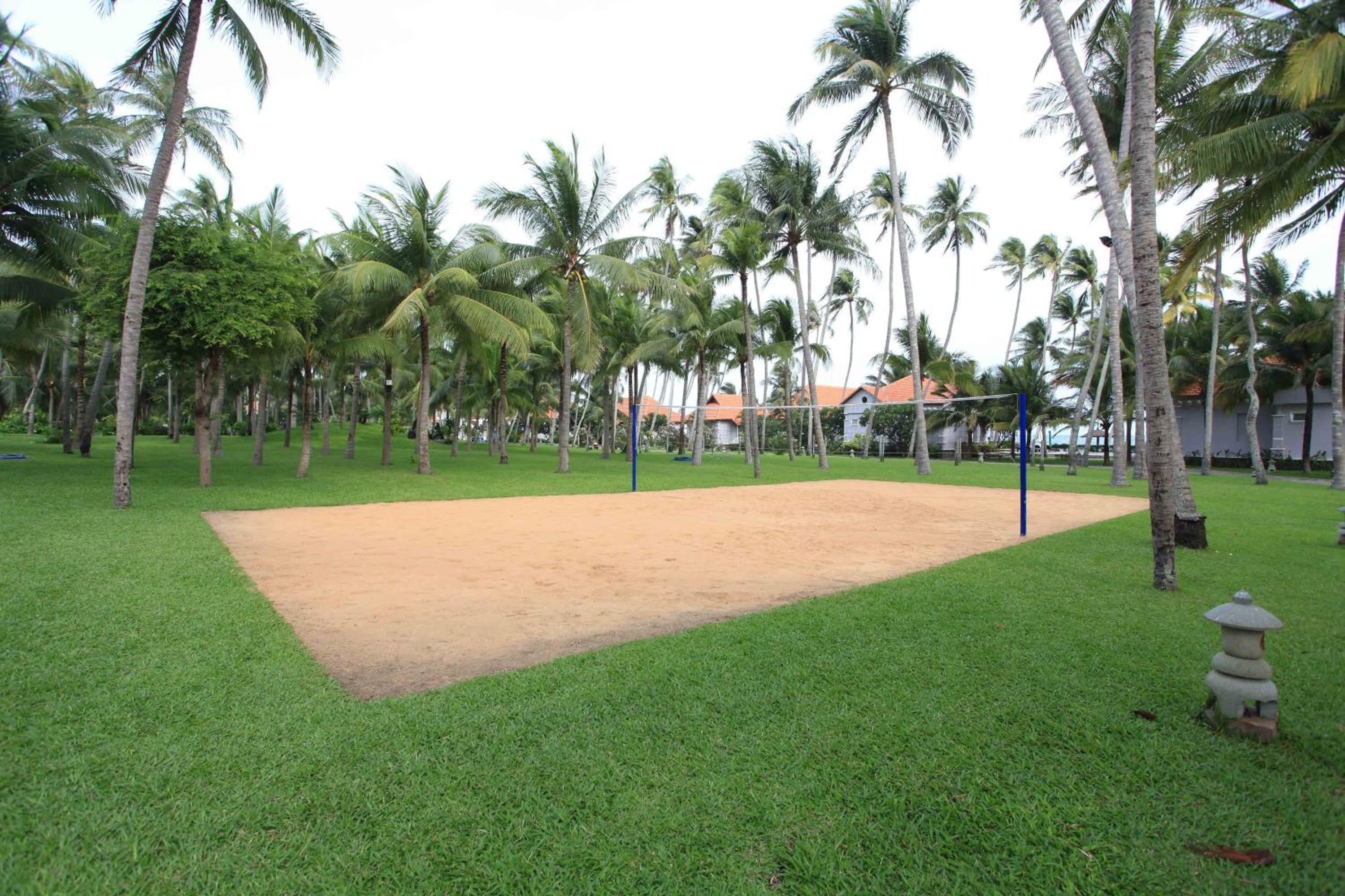 Photo 42