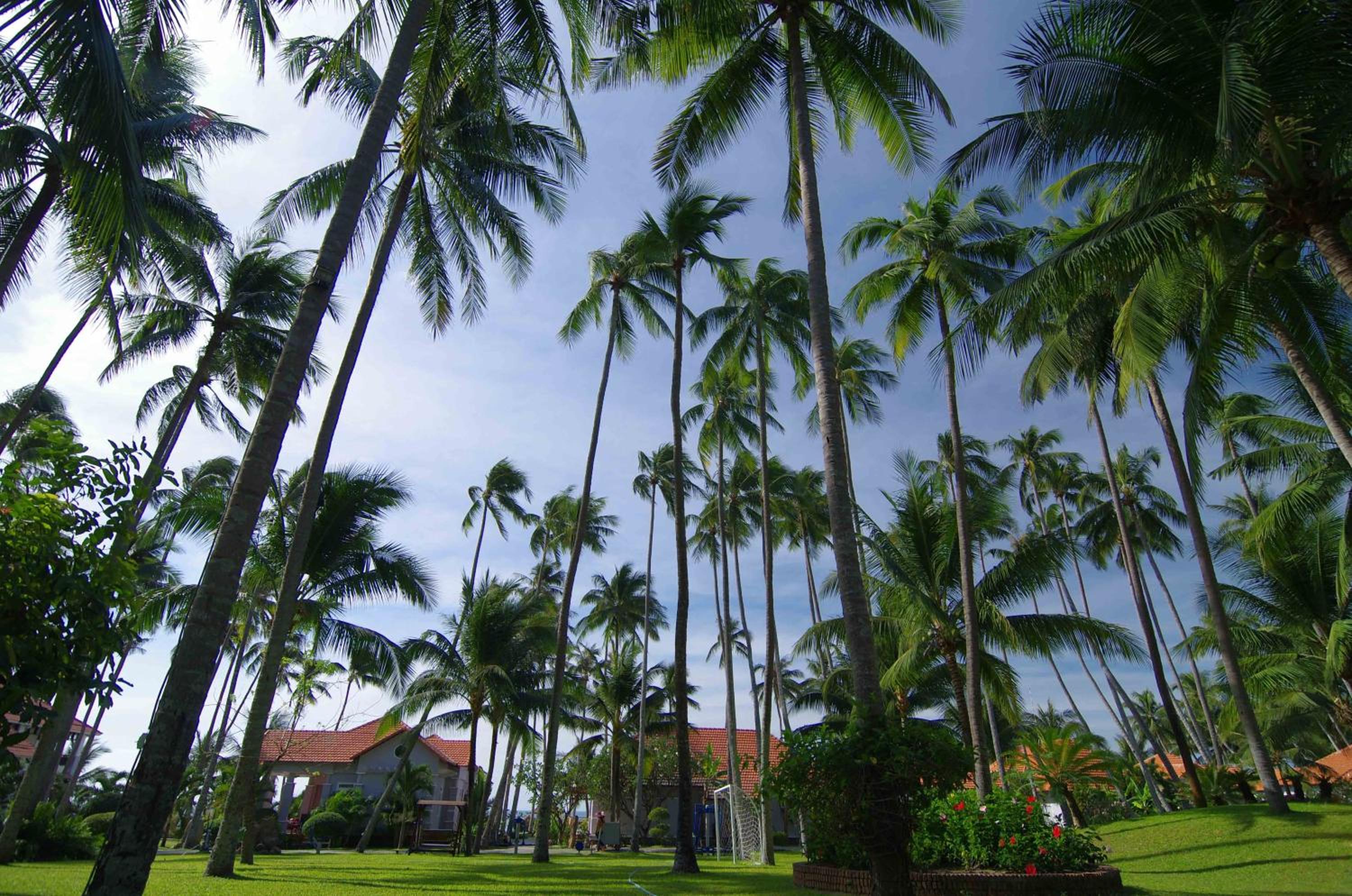 Muine Century Beach Resort & Spa view 4